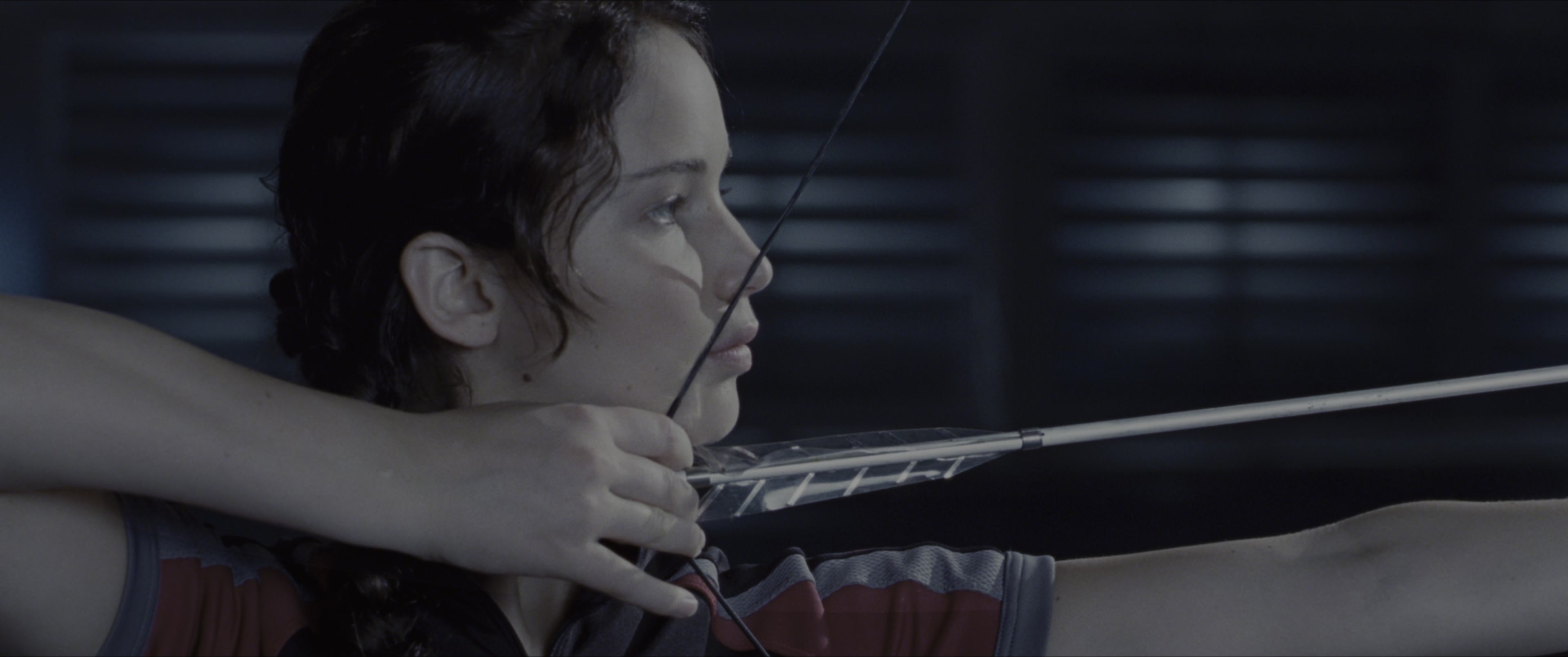 The Hunger Games (2012), wide, 2.39:1 — film still