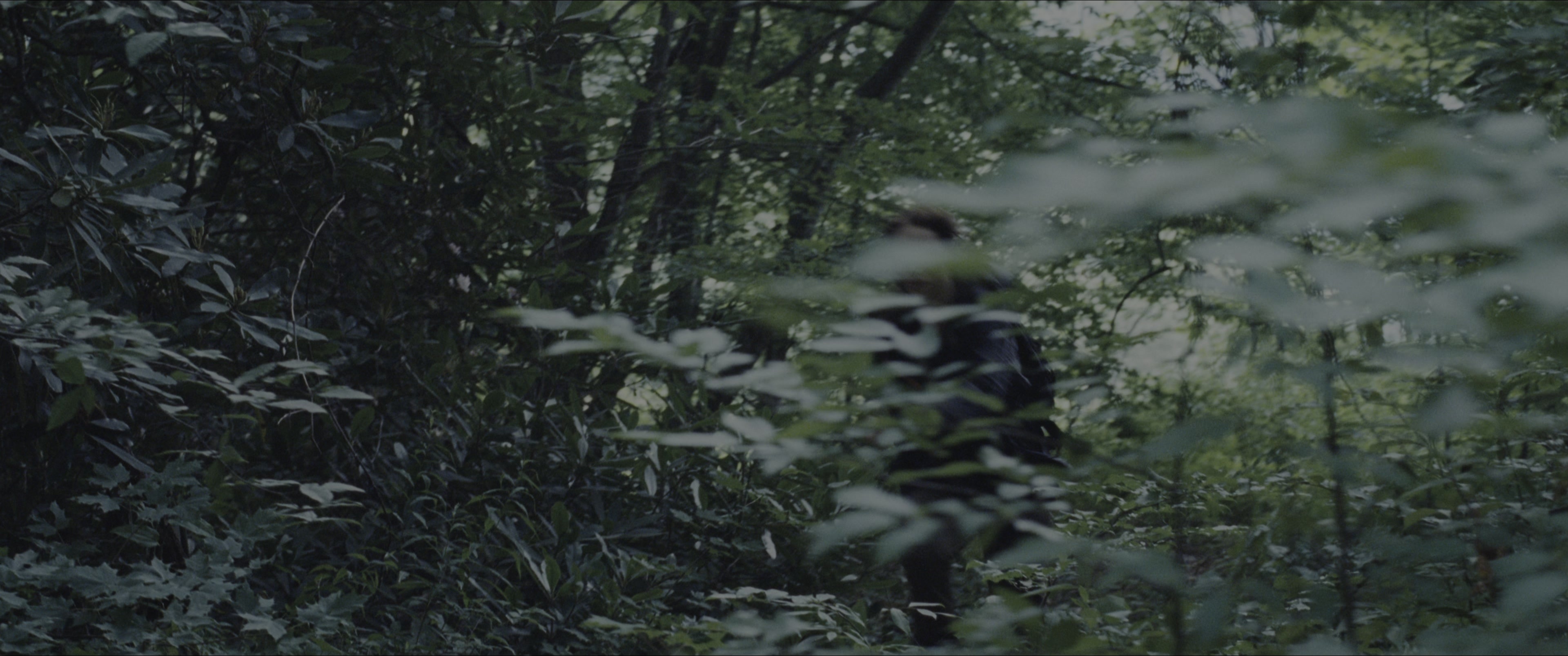The Hunger Games (2012), wide, 2.39:1 — film still