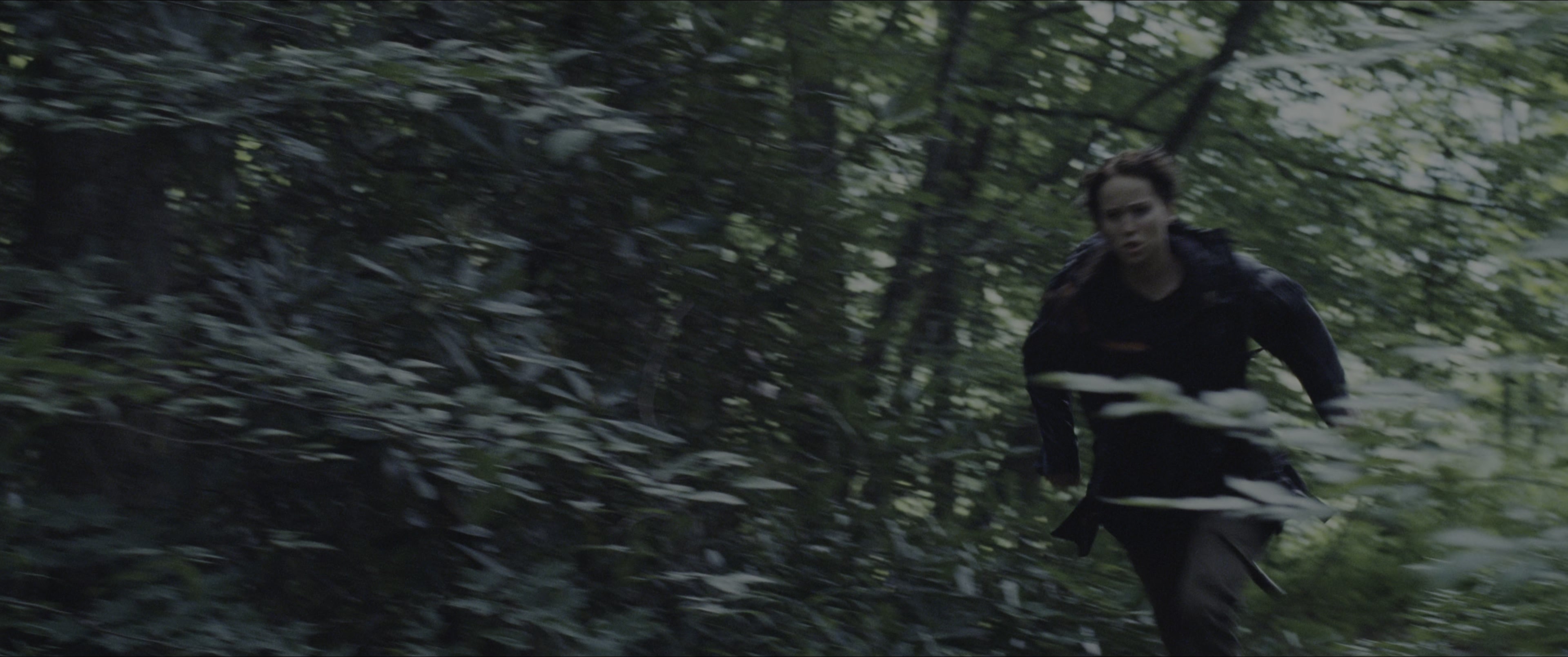 The Hunger Games (2012), wide, 2.39:1 — film still