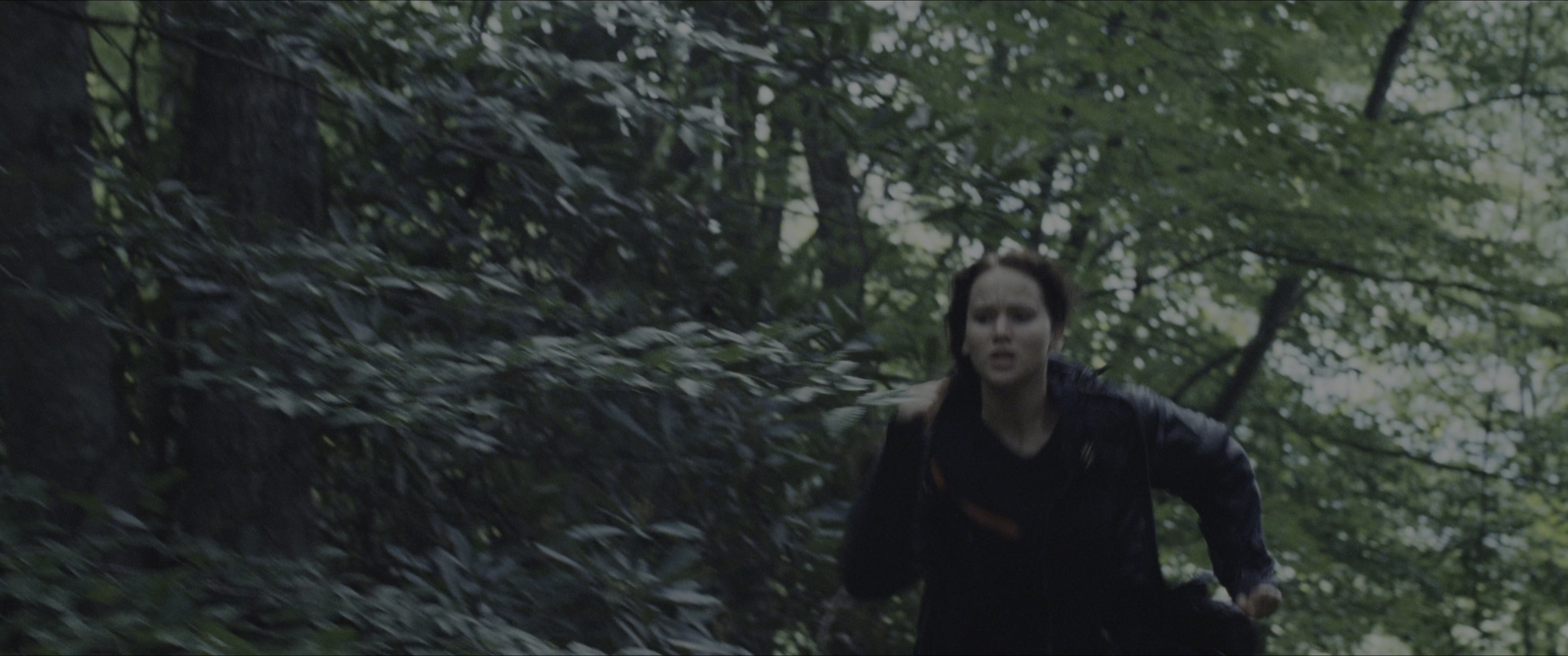 The Hunger Games (2012), wide, 2.39:1 — film still