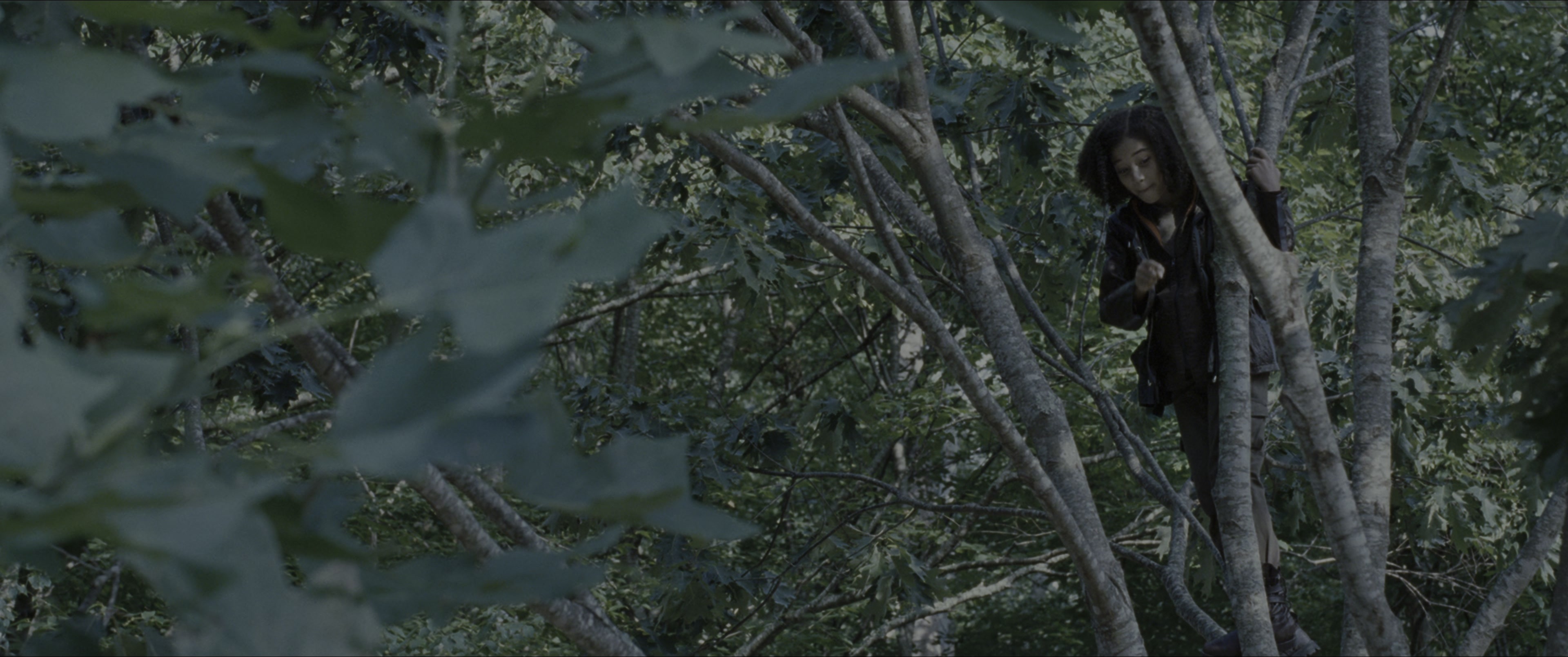 The Hunger Games (2012), wide, 2.39:1 — film still