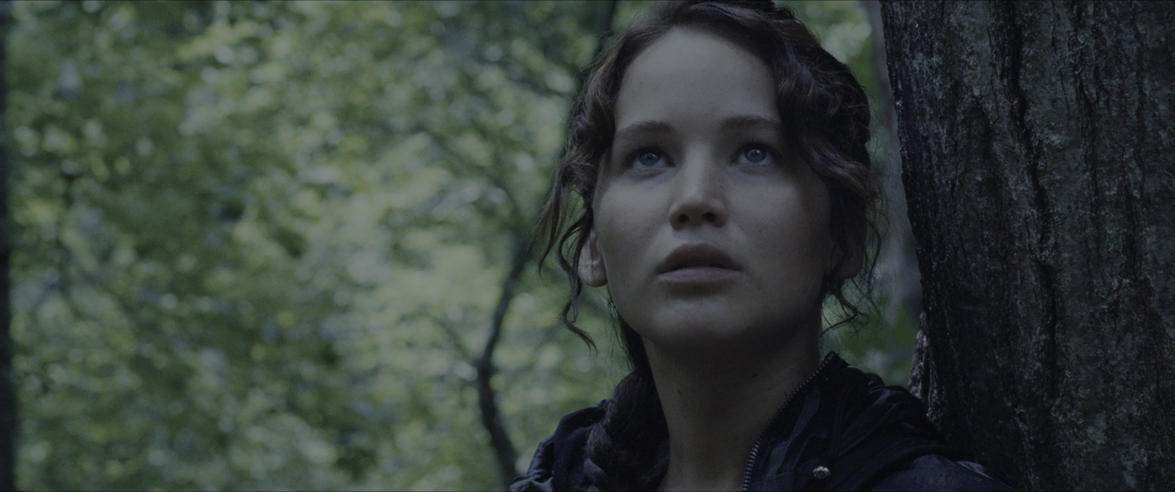 The Hunger Games (2012), medium, 2.39:1 — film still