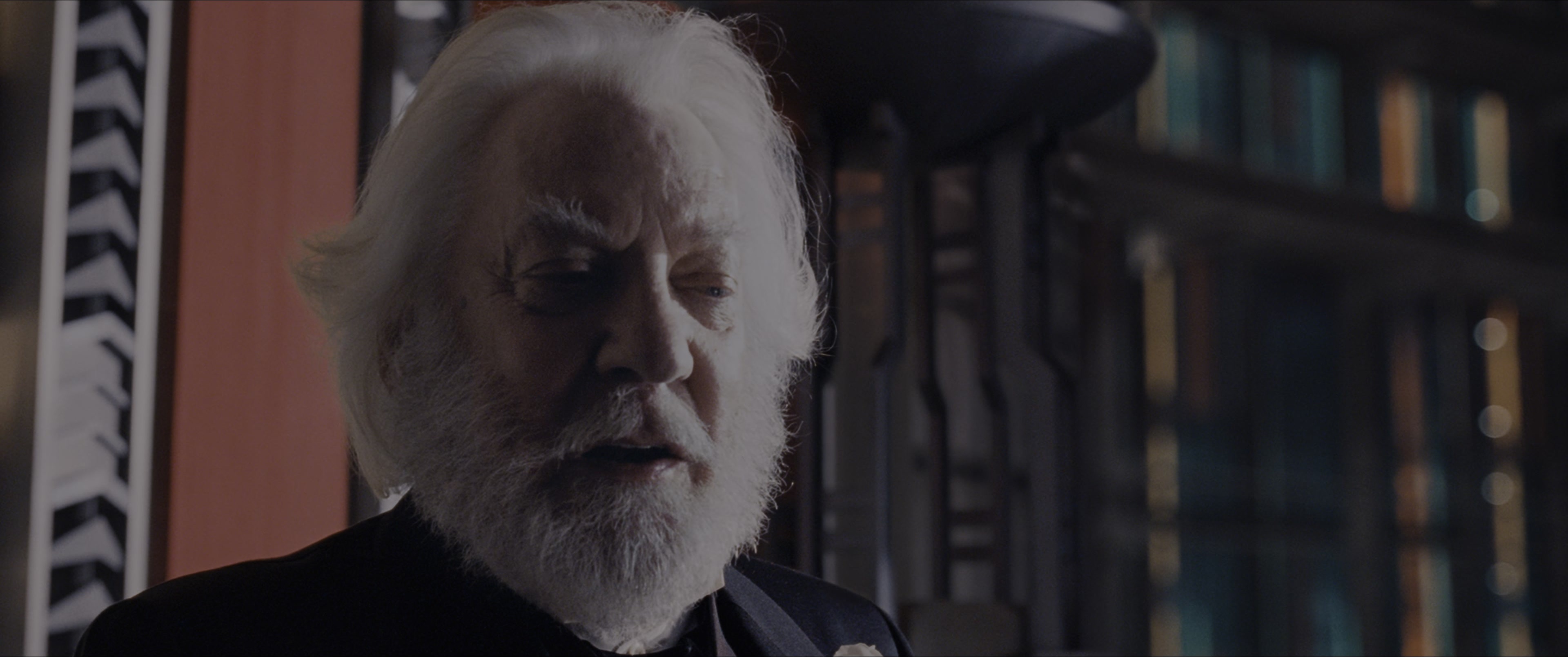 The Hunger Games (2012), wide, 2.39:1 — film still