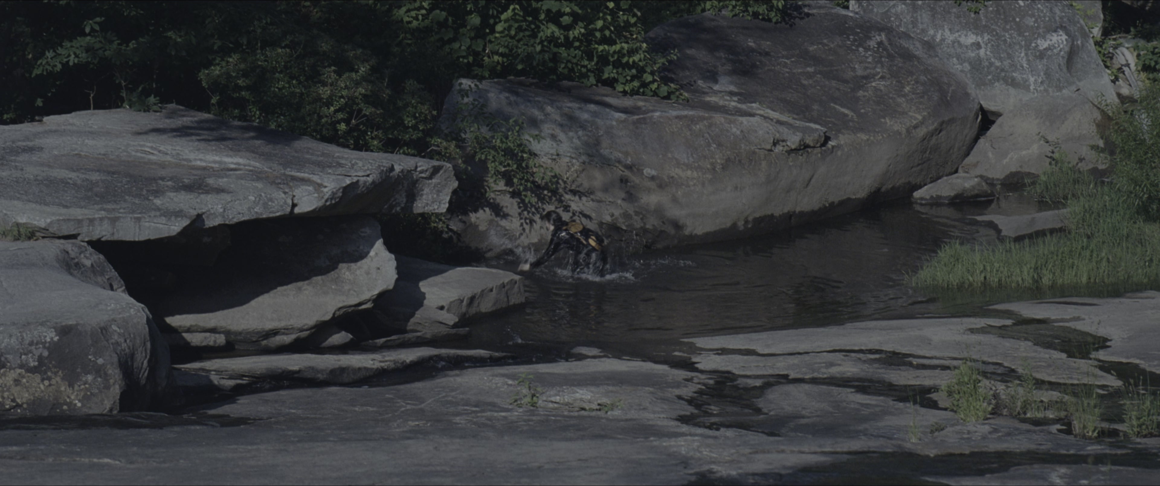 The Hunger Games (2012), wide, 2.39:1 — film still