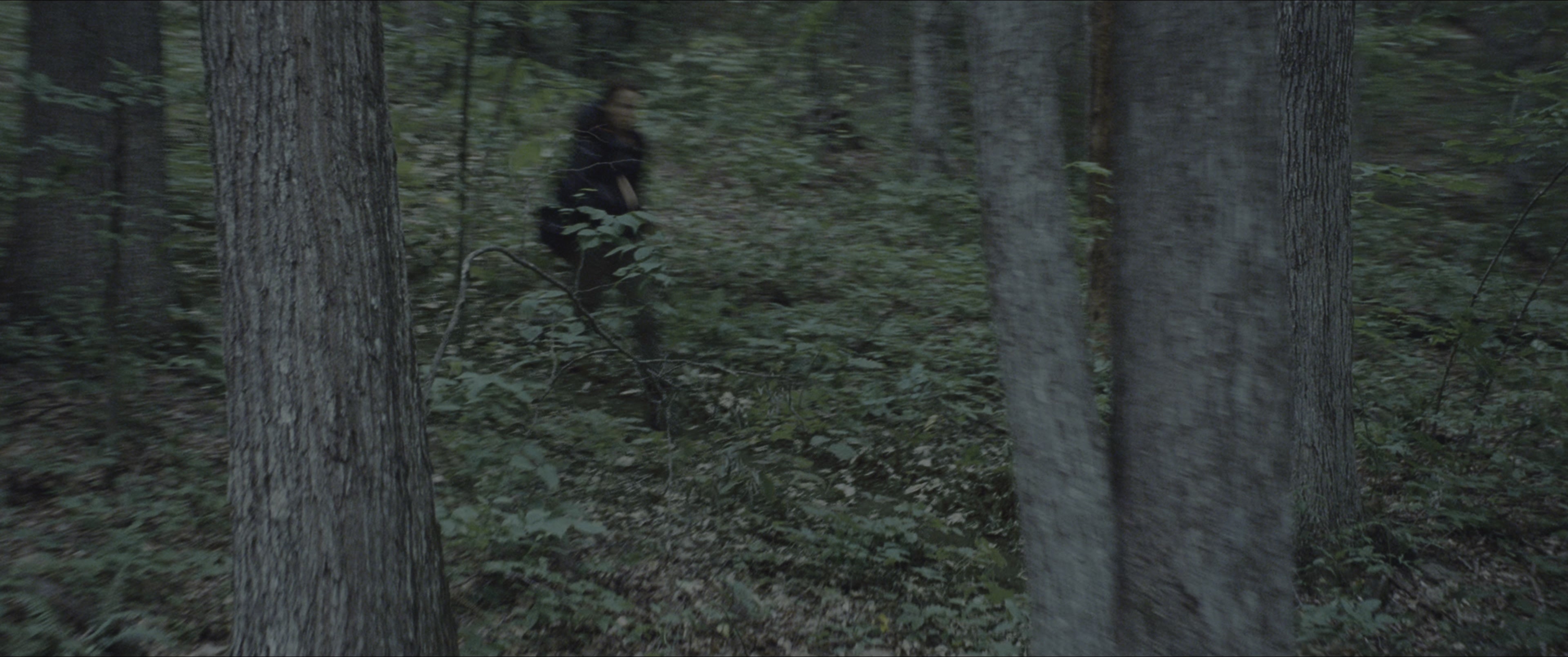 The Hunger Games (2012), wide, 2.39:1 — film still