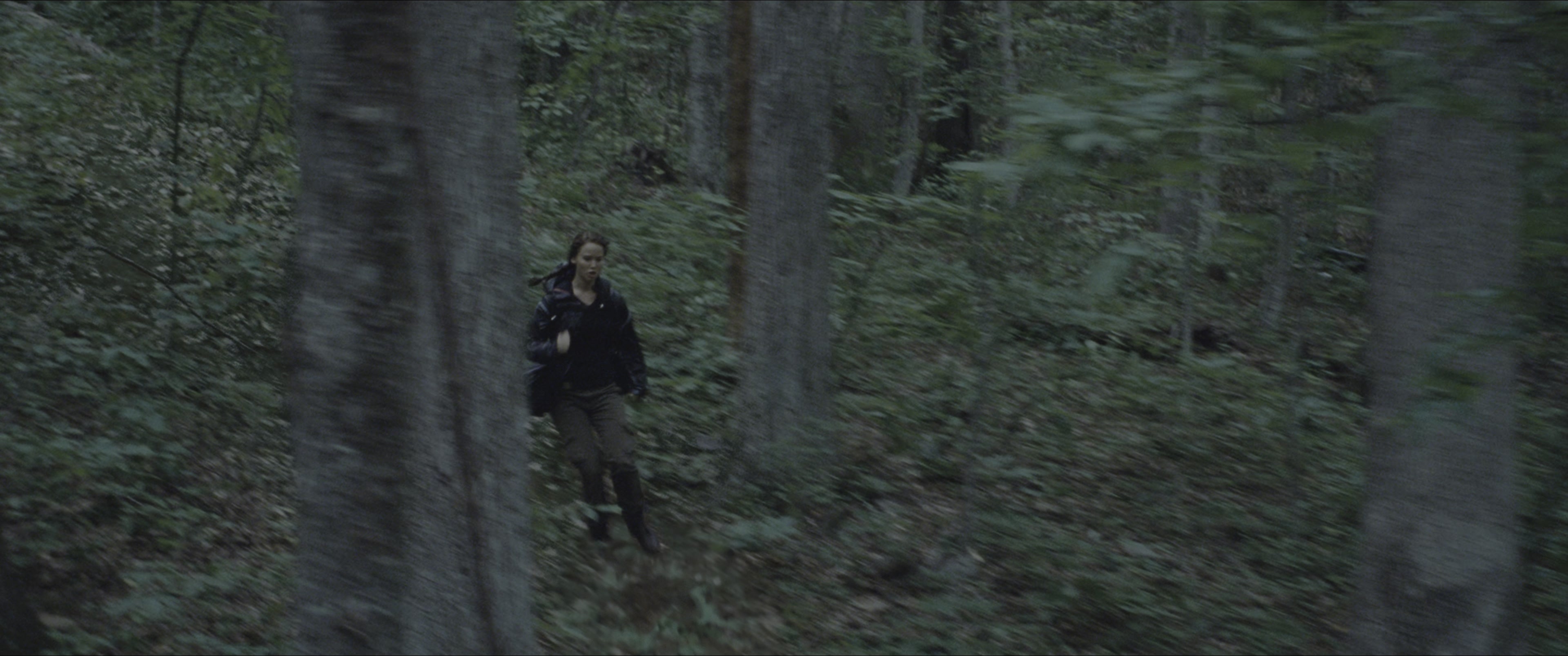 The Hunger Games (2012), wide, 2.39:1 — film still