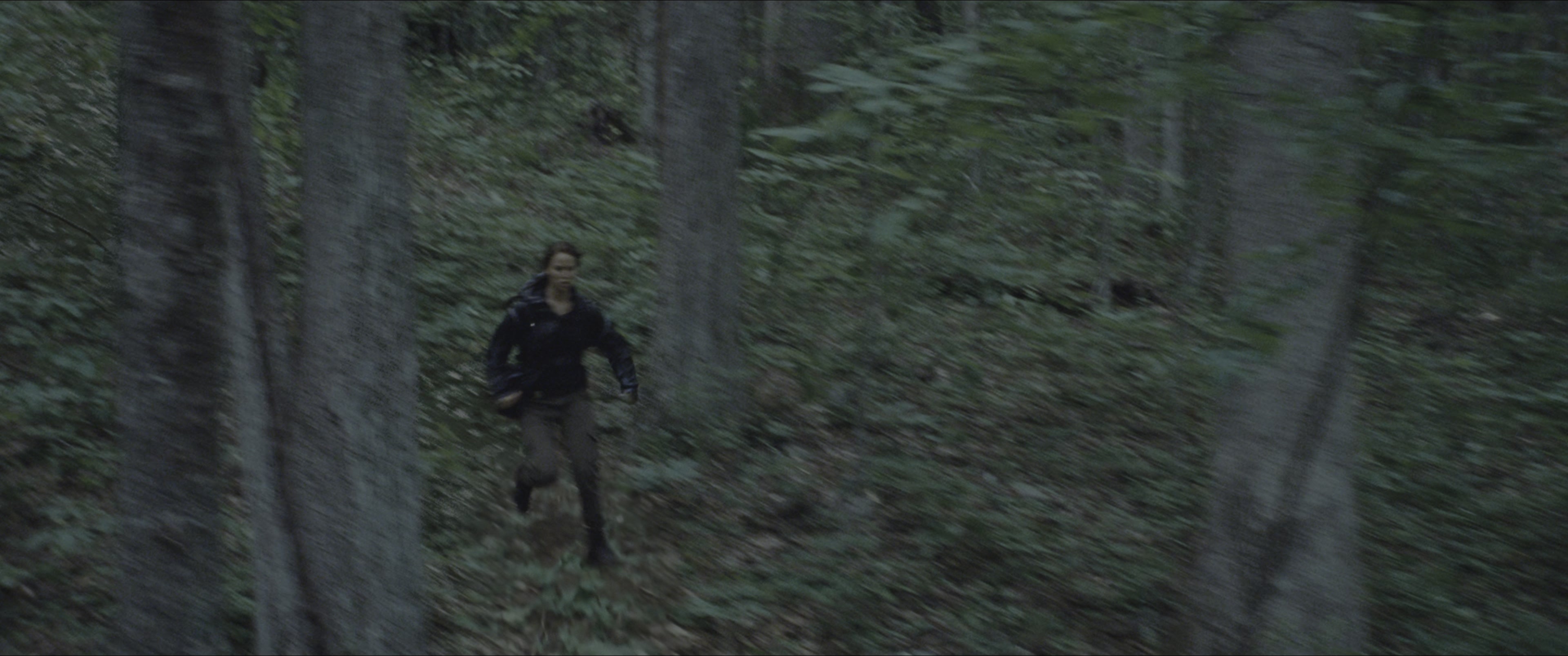 The Hunger Games (2012), wide, 2.39:1 — film still