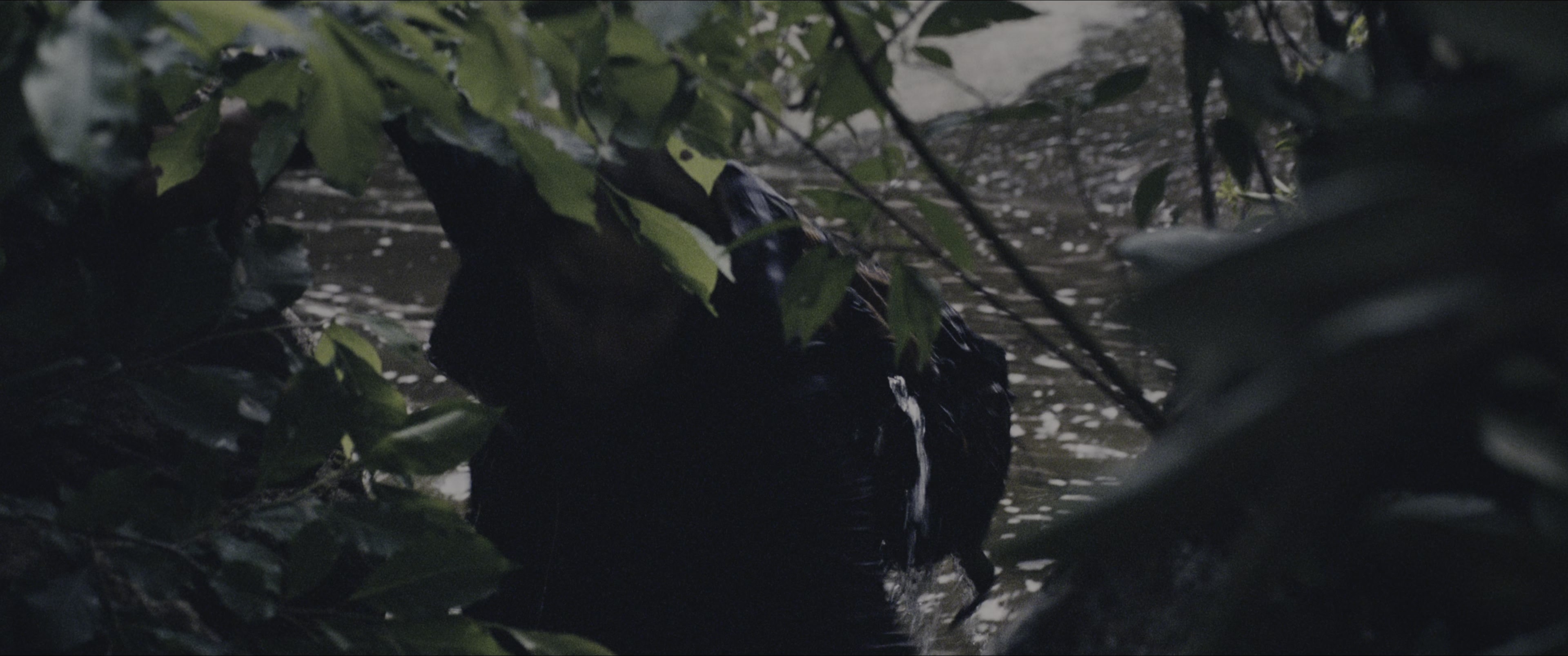 The Hunger Games (2012), wide, 2.39:1 — film still