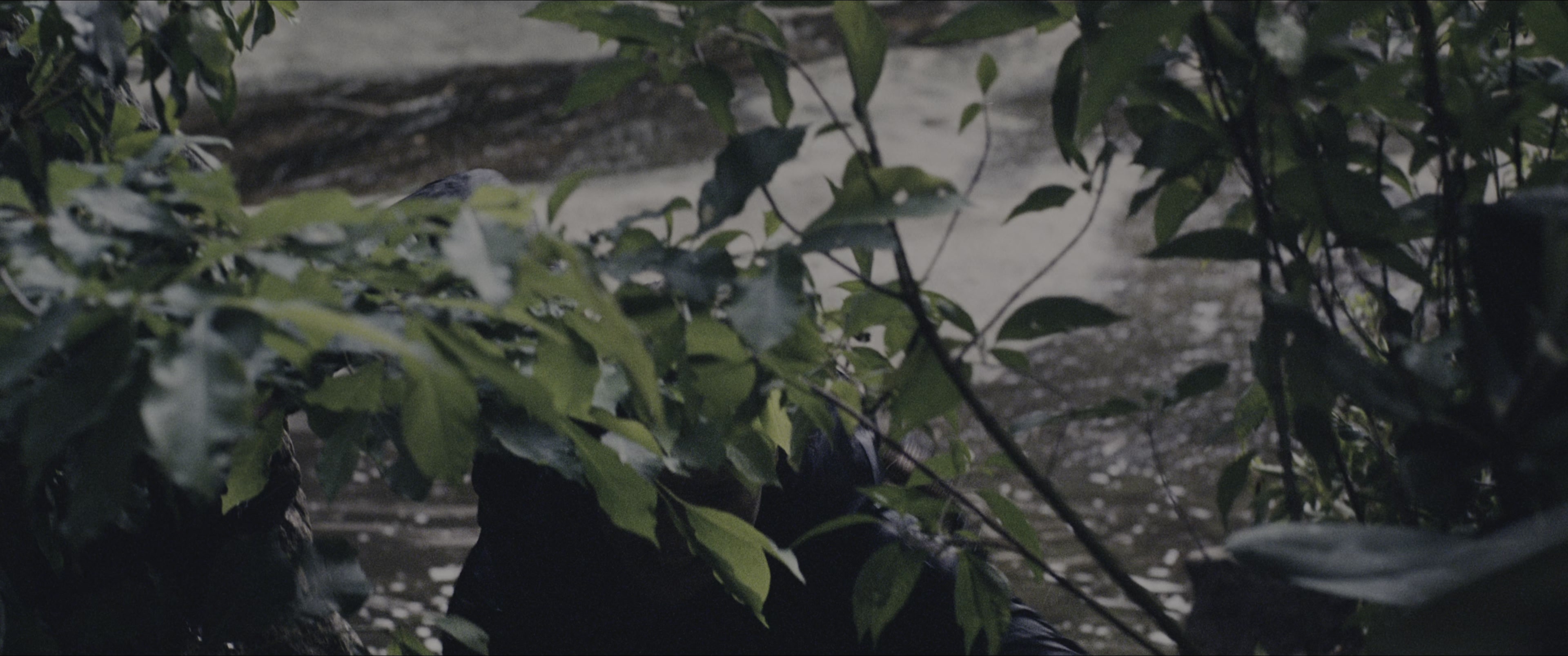 The Hunger Games (2012), wide, 2.39:1 — film still