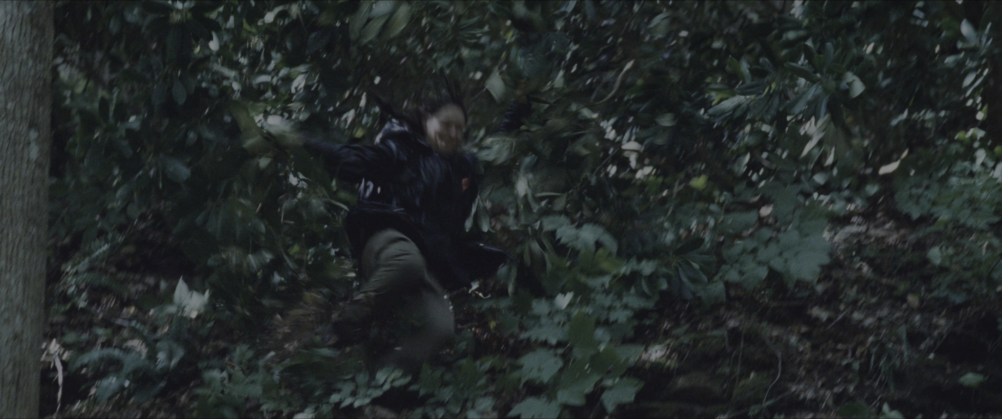 The Hunger Games (2012), wide, 2.39:1 — film still