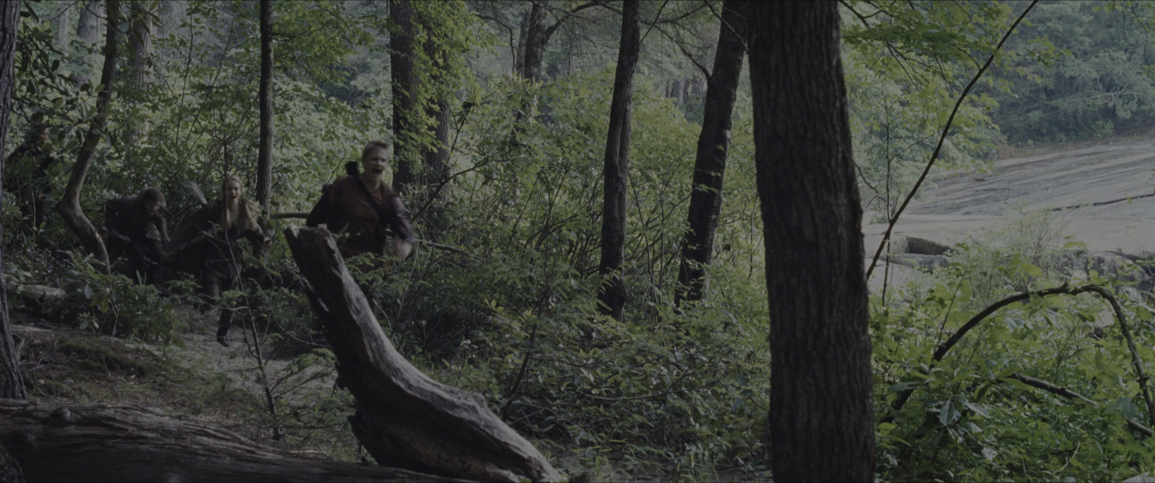 The Hunger Games (2012), wide, 2.39:1 — film still