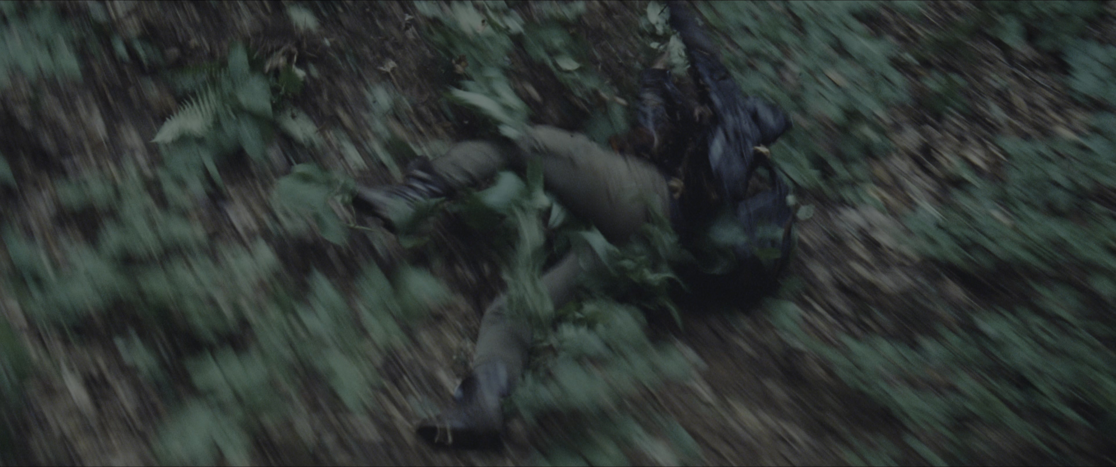 The Hunger Games (2012), wide, 2.39:1 — film still
