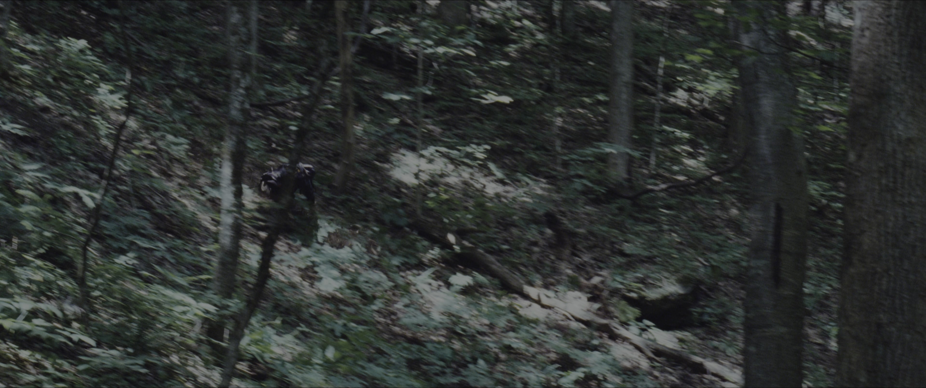 The Hunger Games (2012), wide, 2.39:1 — film still