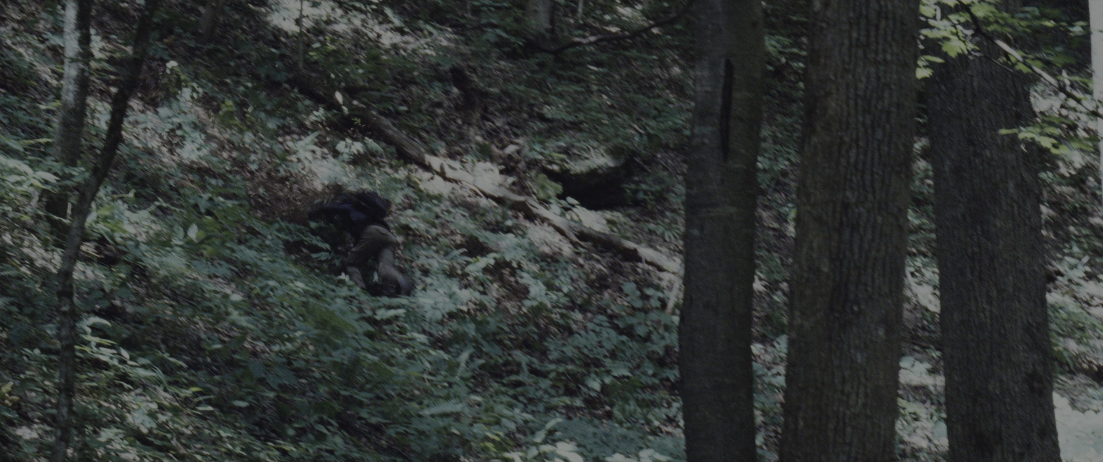The Hunger Games (2012), wide, 2.39:1 — film still