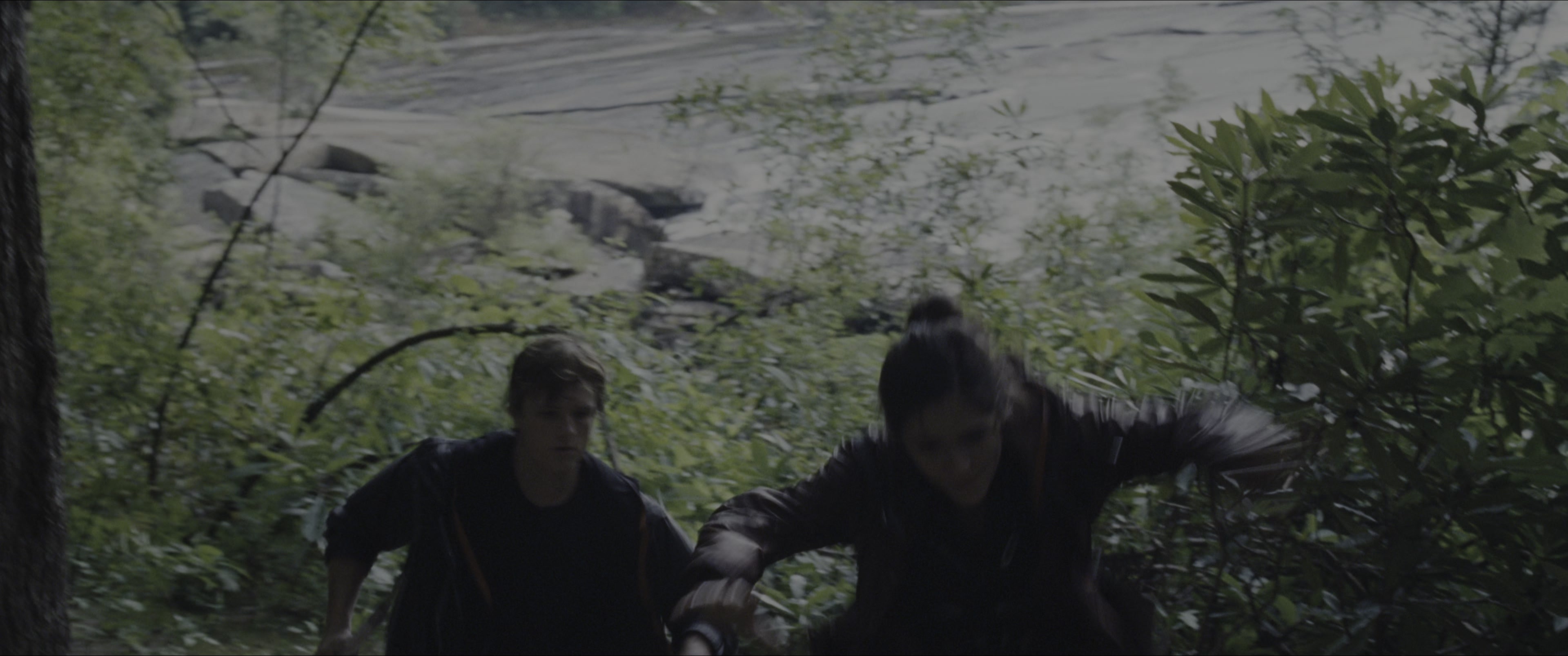The Hunger Games (2012), wide, 2.39:1 — film still