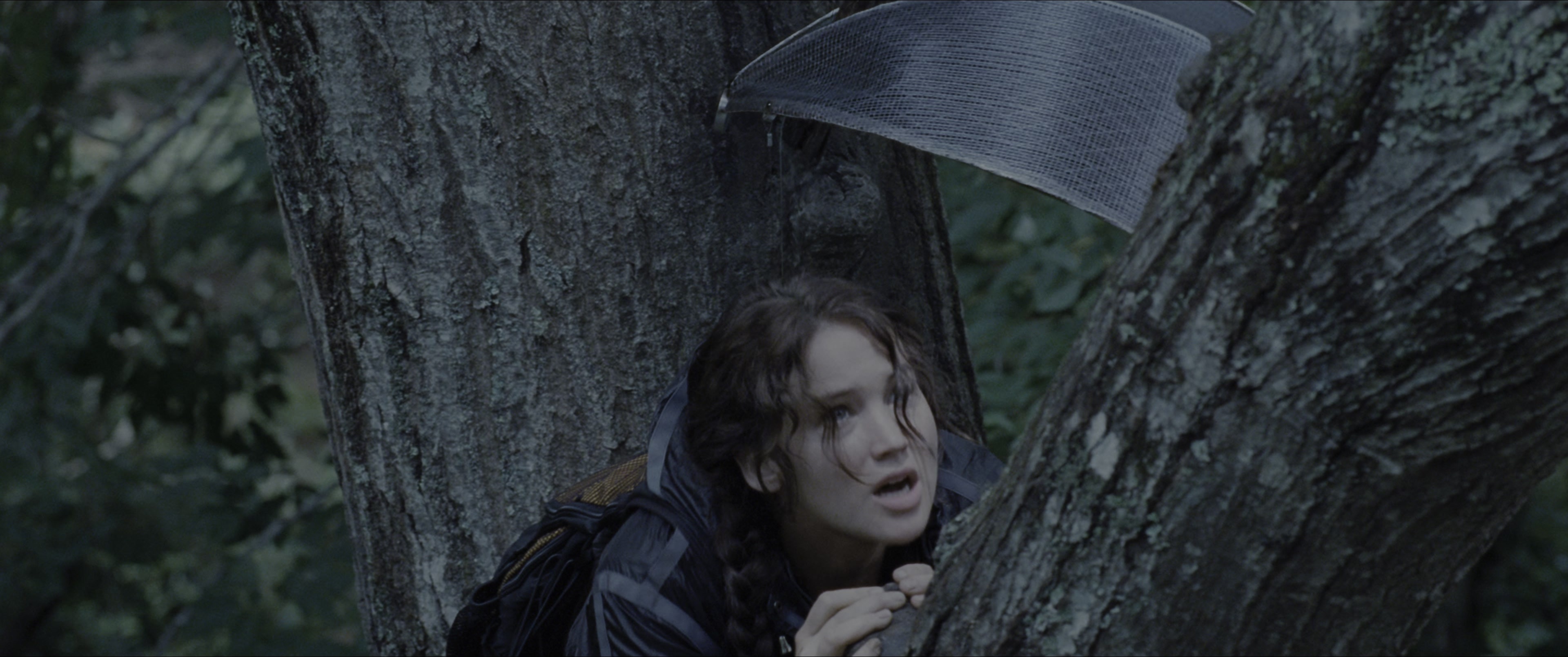 The Hunger Games (2012), wide, 2.39:1 — film still