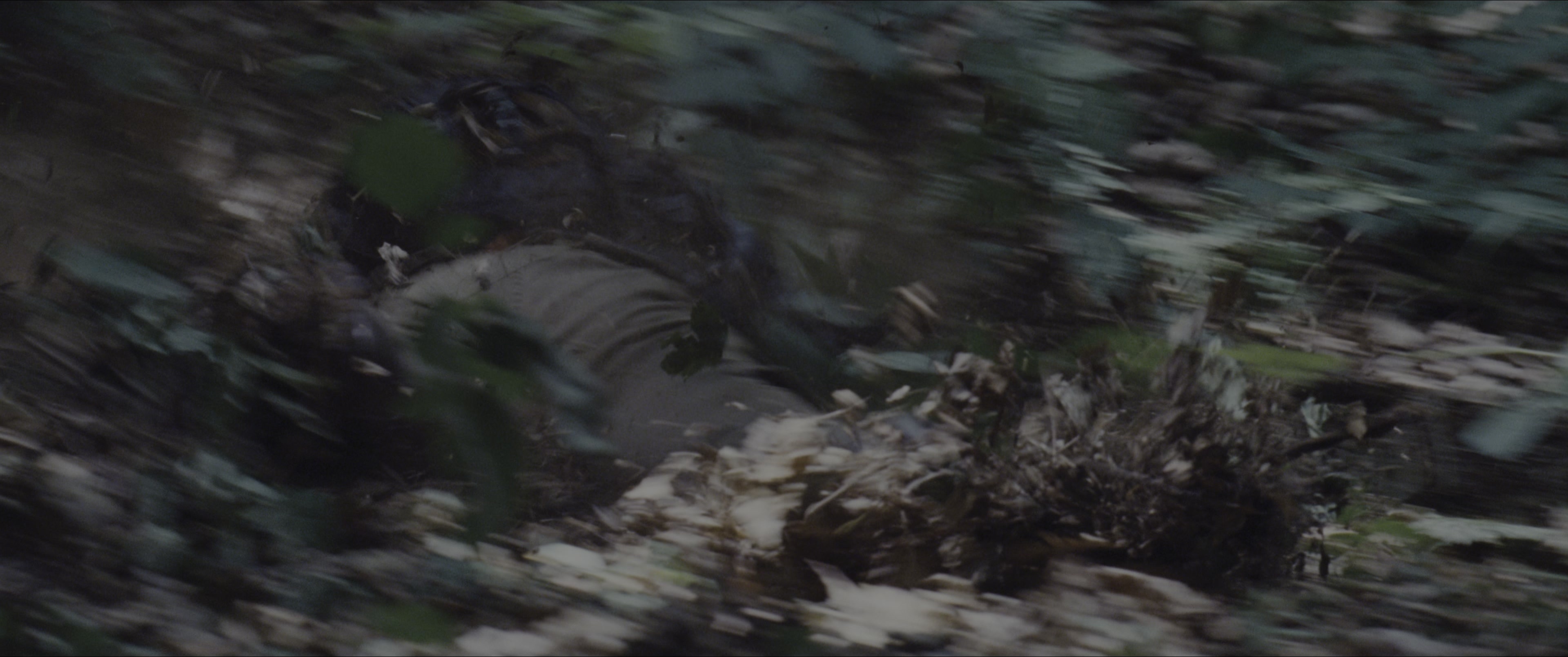 The Hunger Games (2012), wide, 2.39:1 — film still