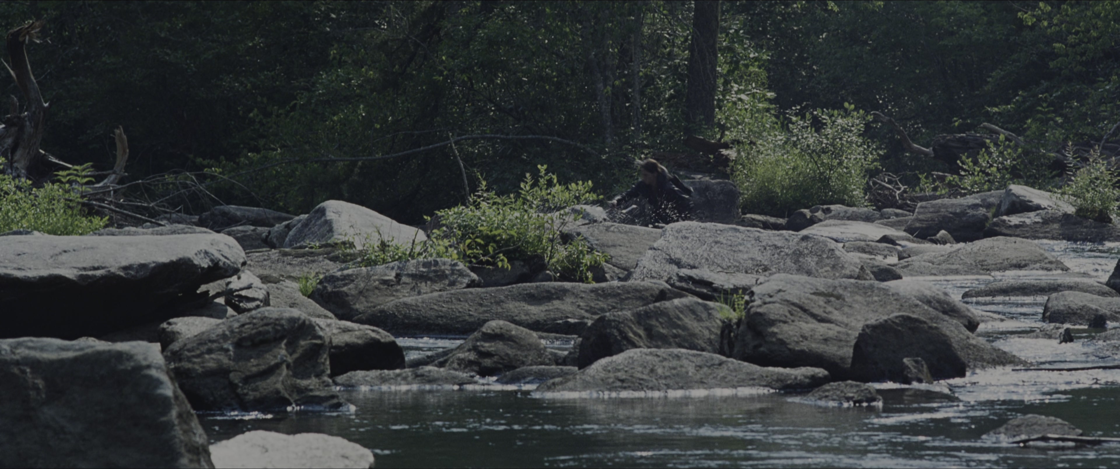 The Hunger Games (2012), wide, 2.39:1 — film still