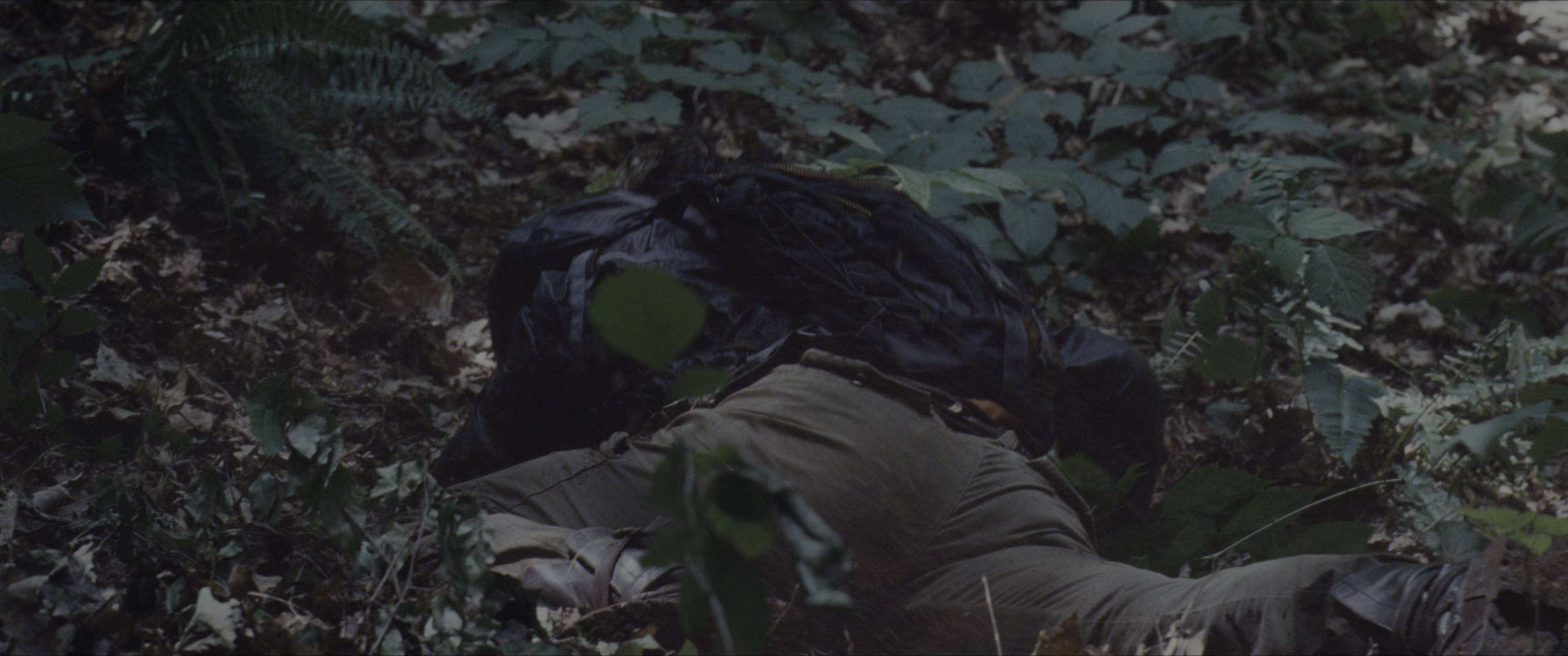 The Hunger Games (2012), wide, 2.39:1 — film still