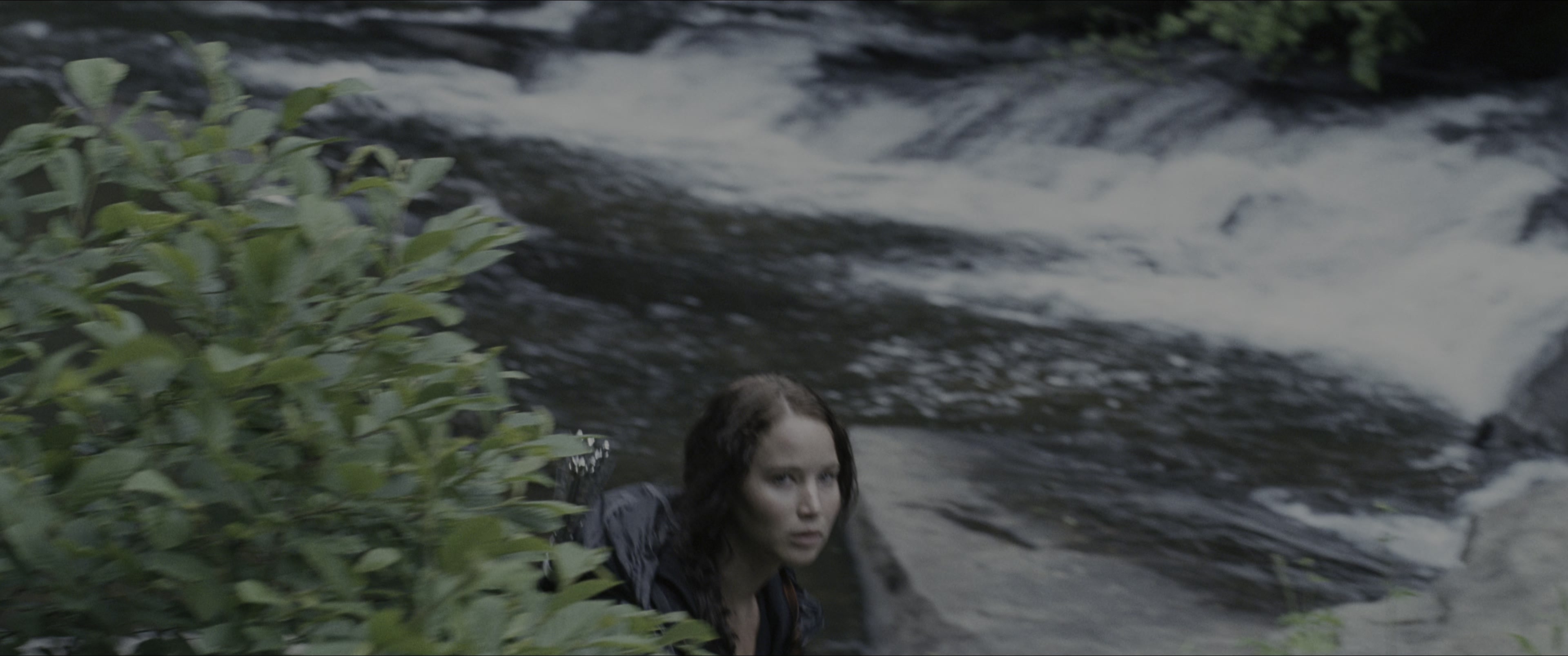 The Hunger Games (2012), wide, 2.39:1 — film still