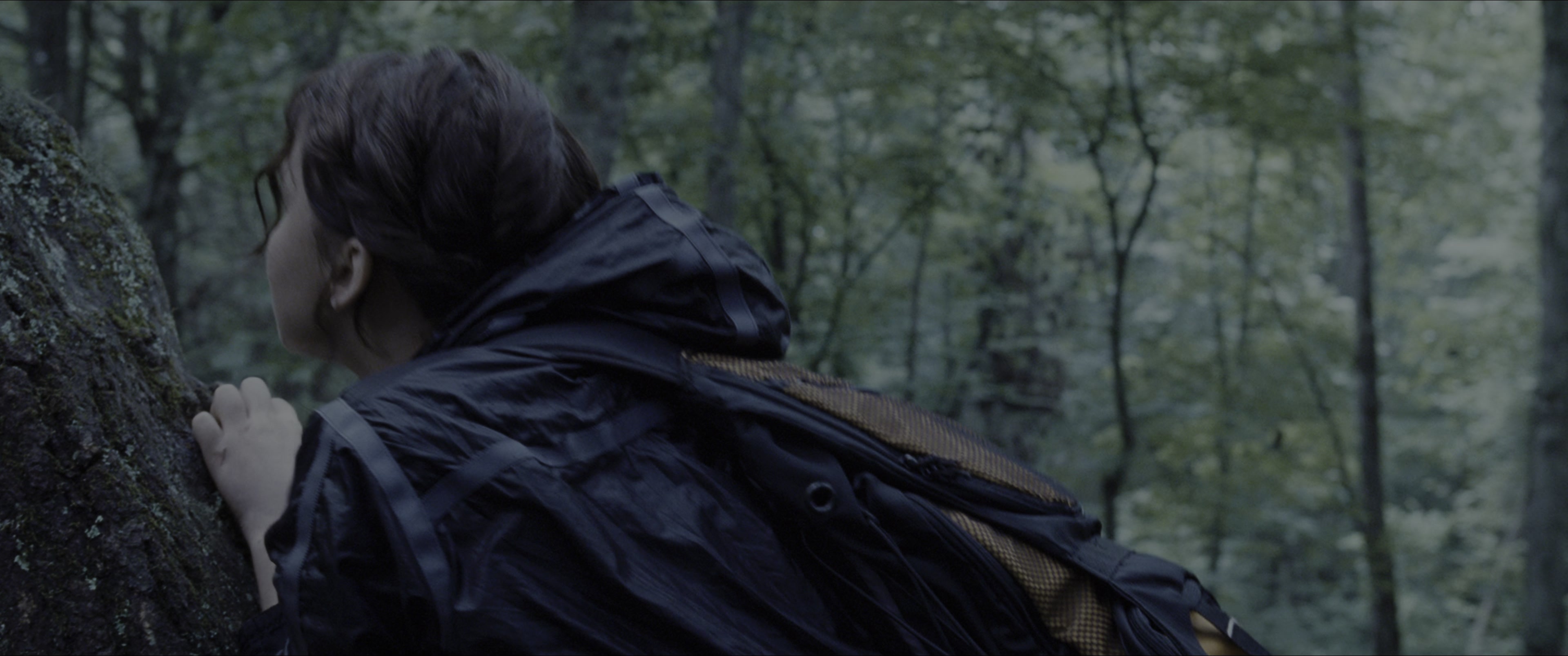 The Hunger Games (2012), wide, 2.39:1 — film still
