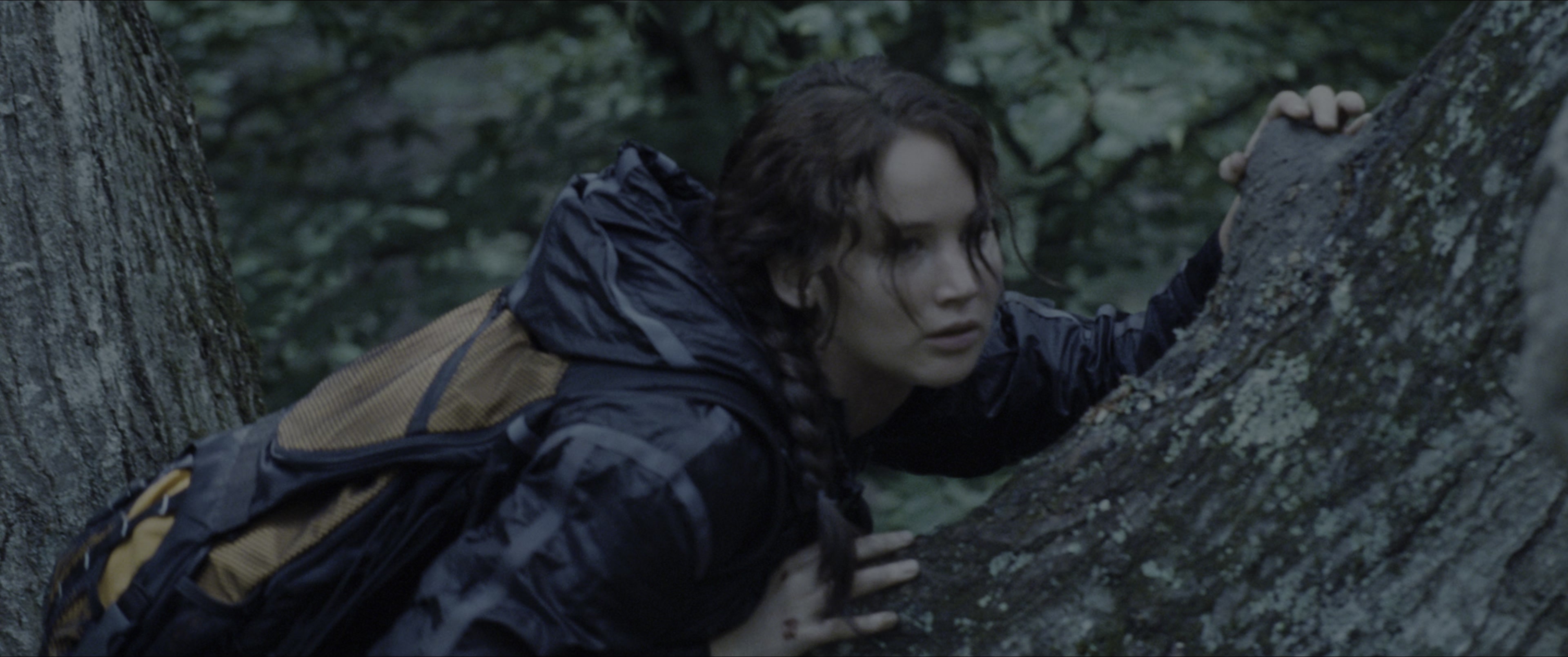 The Hunger Games (2012), wide, 2.39:1 — film still