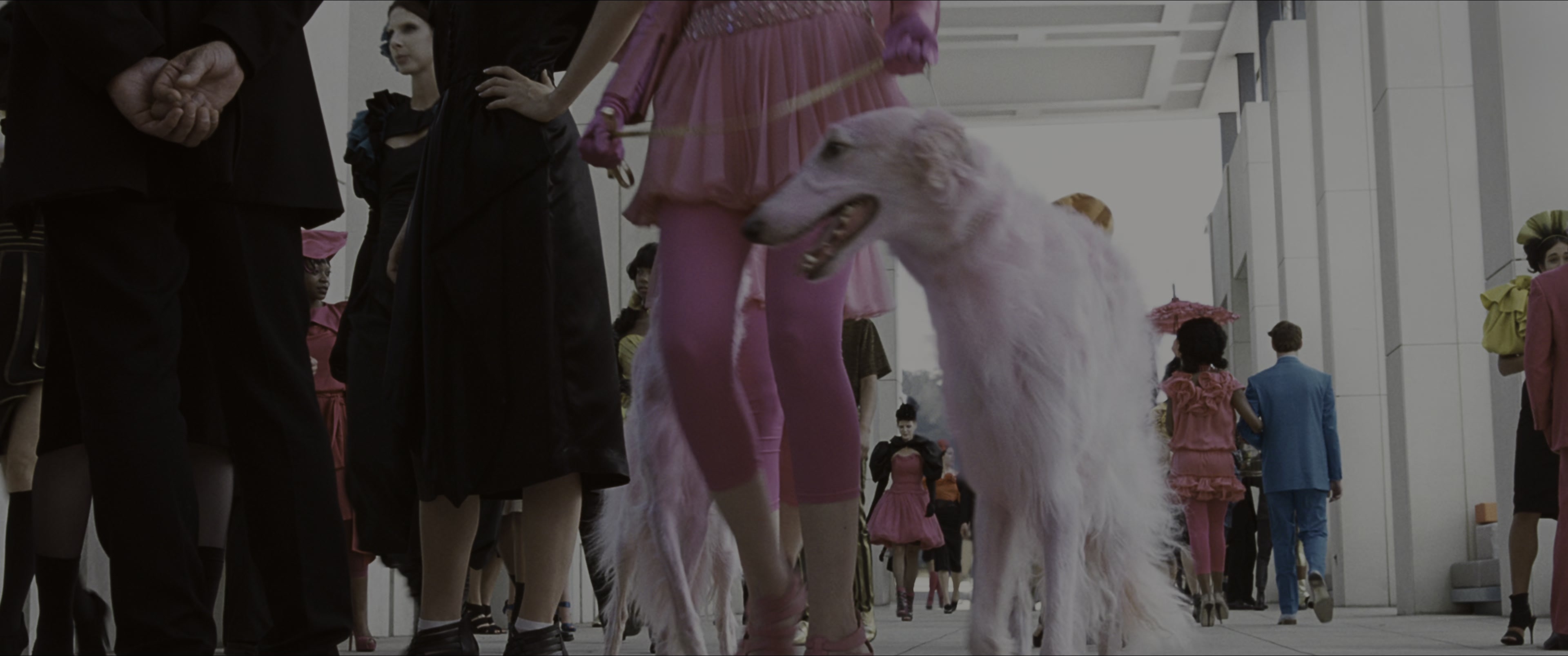 The Hunger Games (2012), wide, 2.39:1 — film still