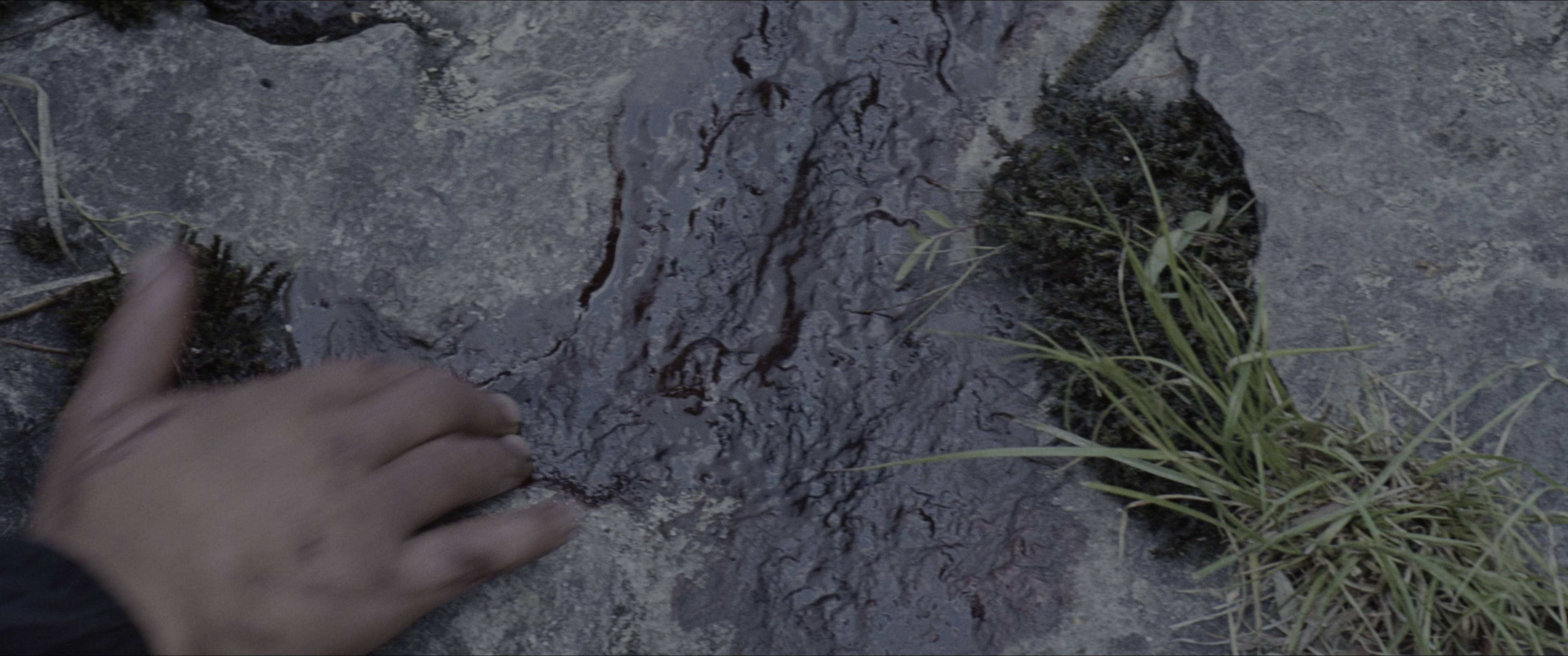 The Hunger Games (2012), wide, 2.39:1 — film still