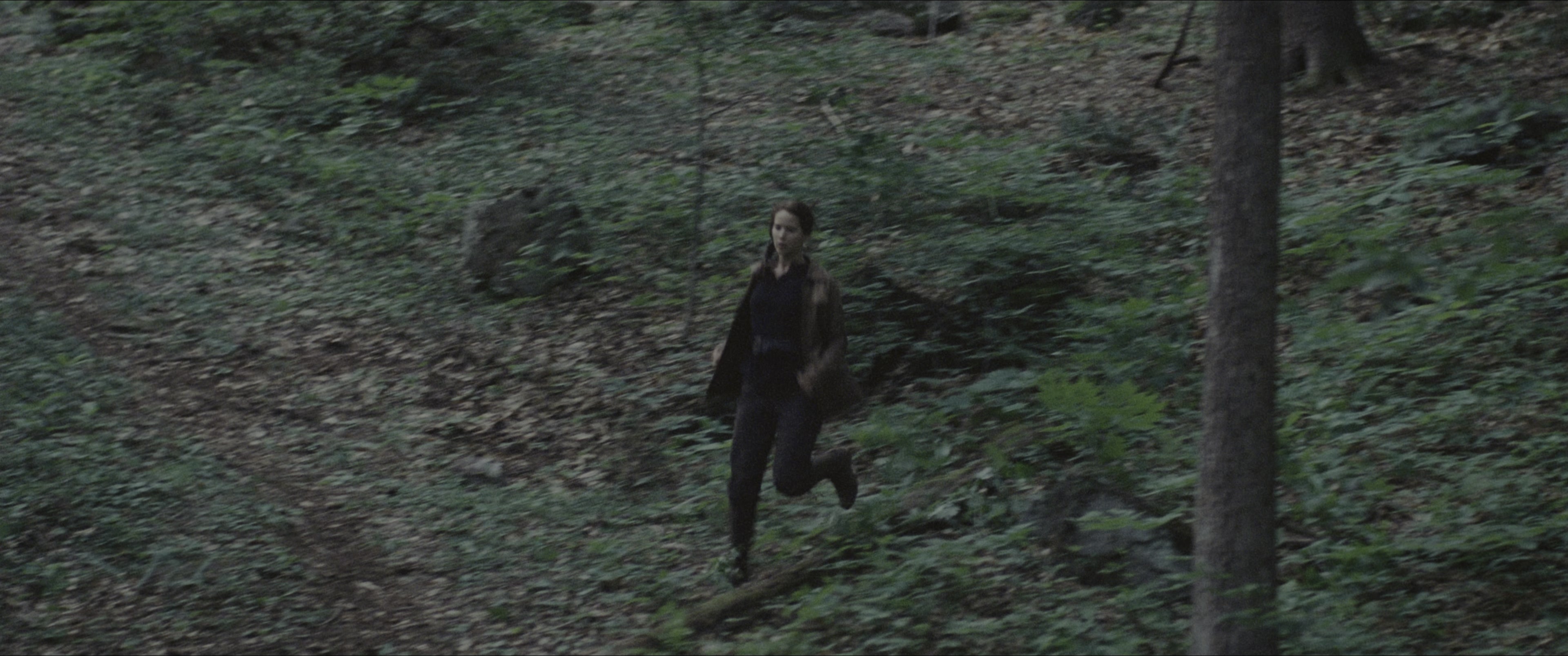 The Hunger Games (2012), wide, 2.39:1 — film still
