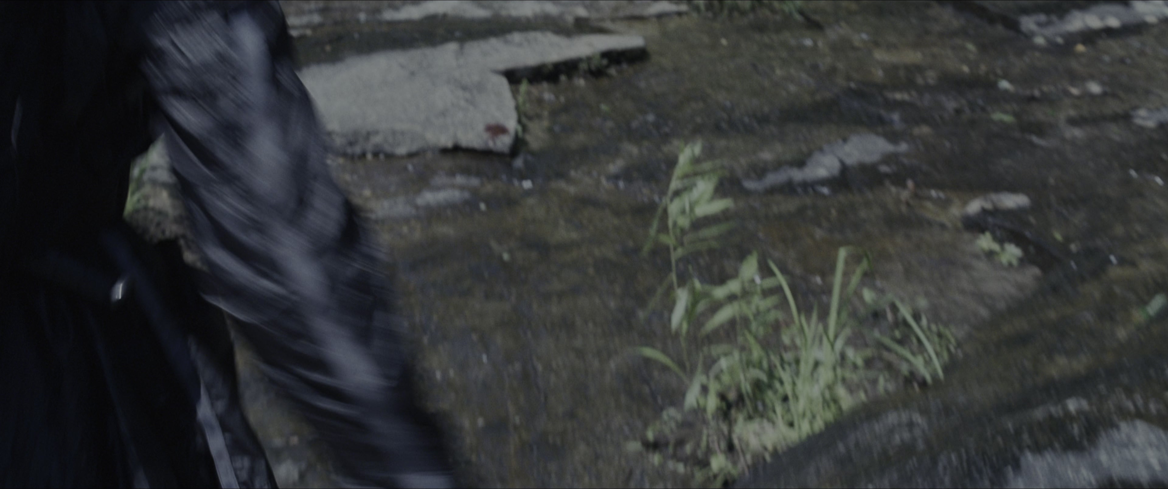 The Hunger Games (2012), wide, 2.39:1 — film still