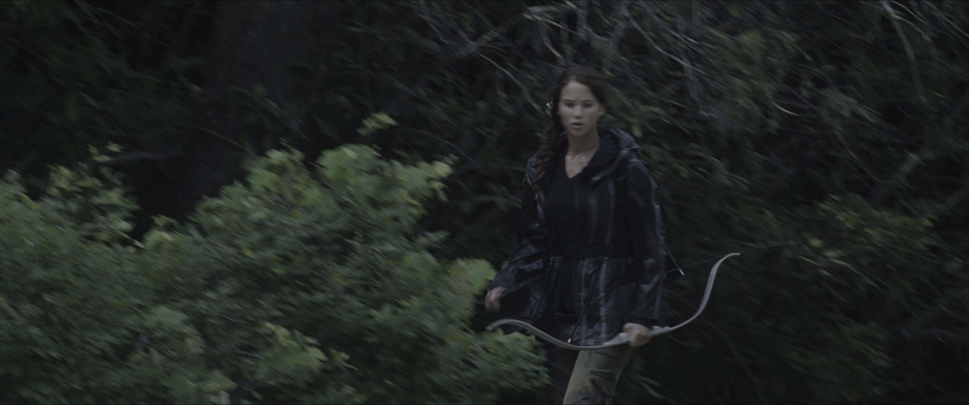 The Hunger Games (2012), wide, 2.39:1 — film still