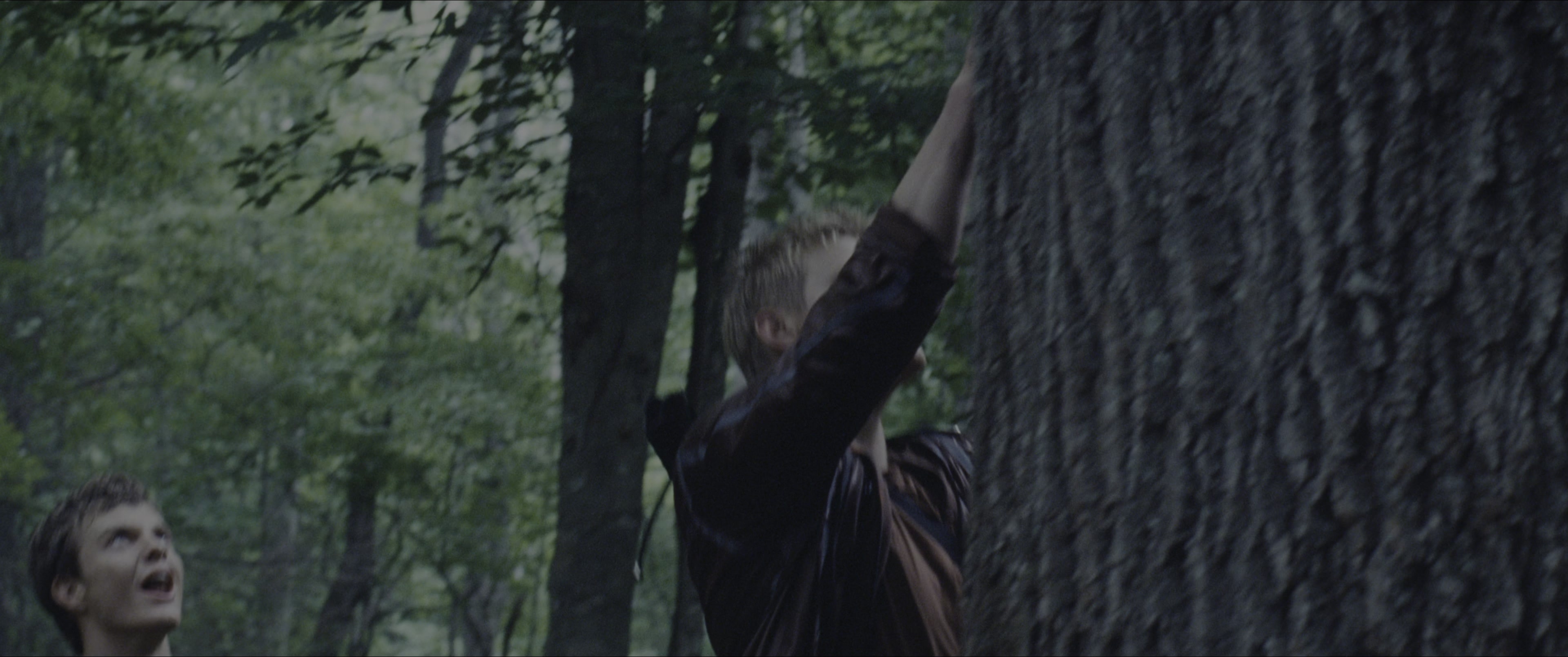The Hunger Games (2012), wide, 2.39:1 — film still