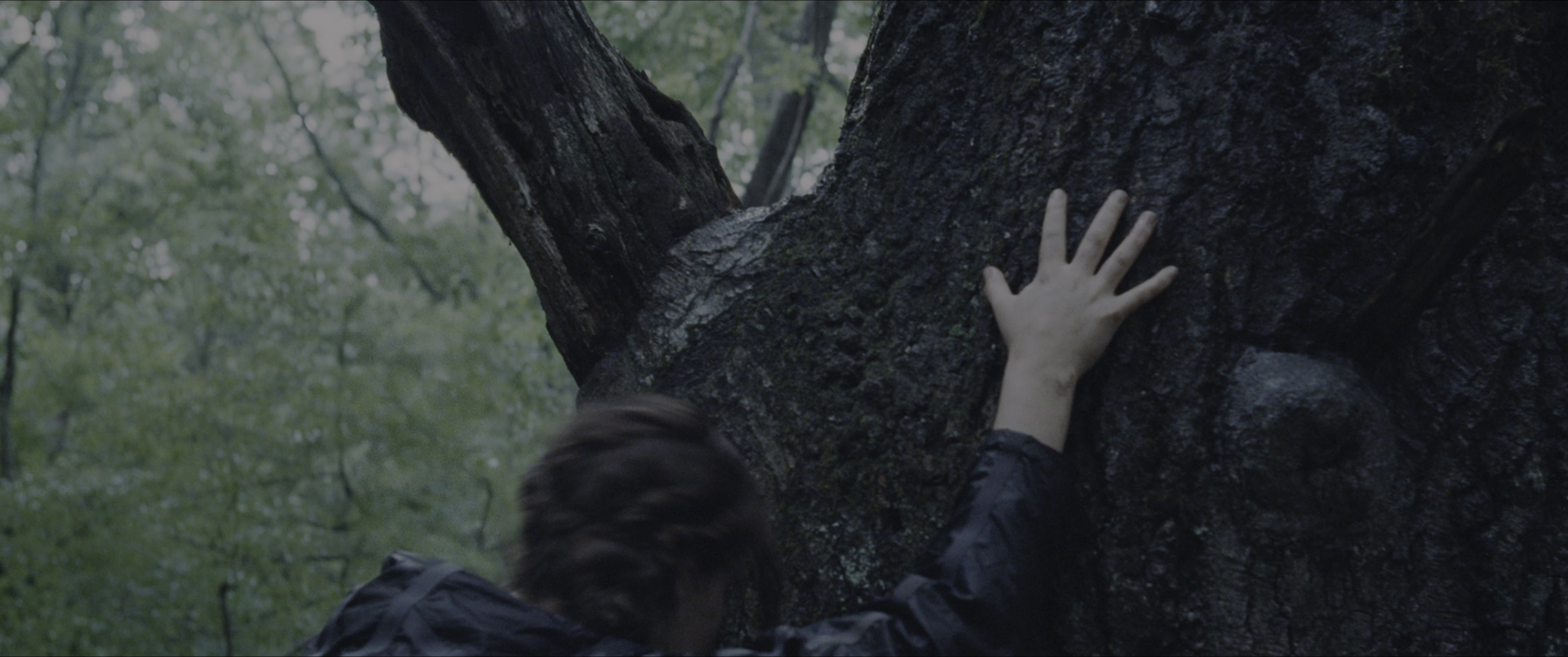 The Hunger Games (2012), wide, 2.39:1 — film still