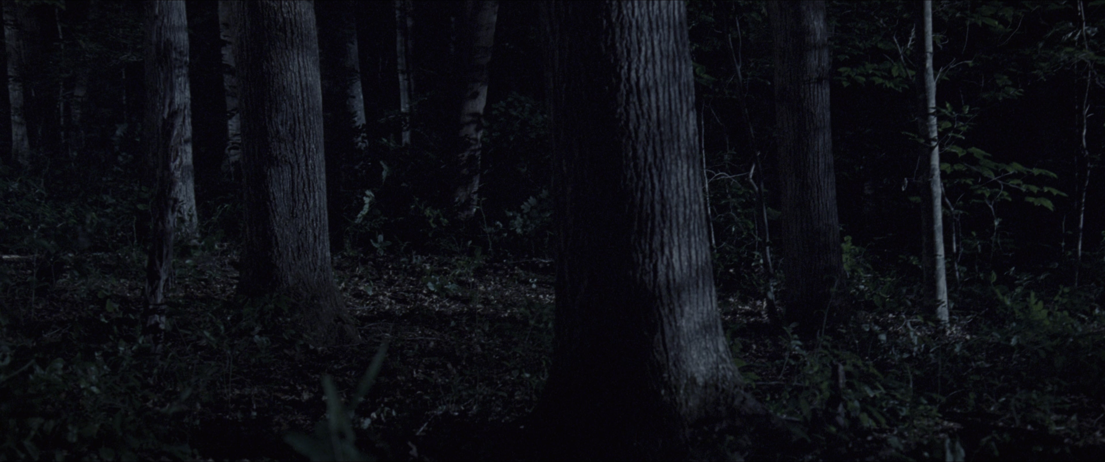 The Hunger Games (2012), wide, 2.39:1 — film still