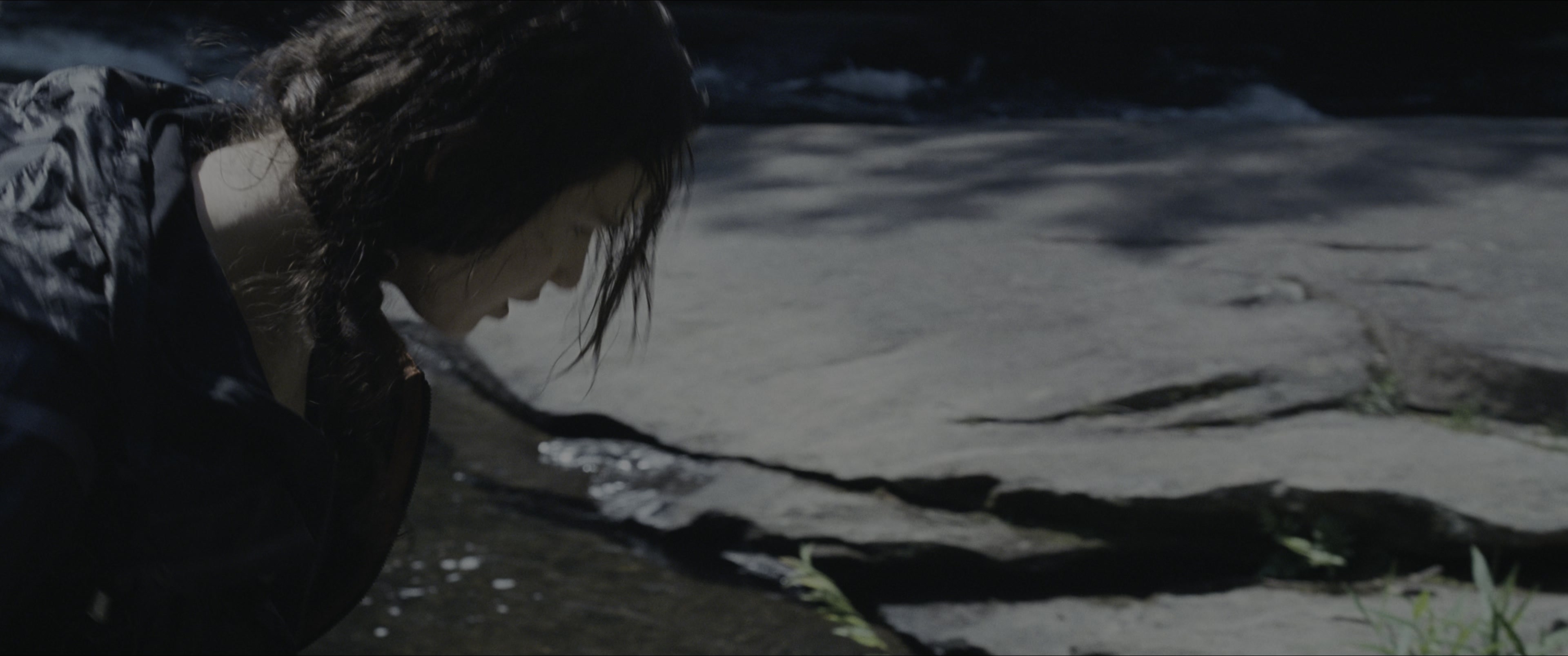 The Hunger Games (2012), wide, 2.39:1 — film still