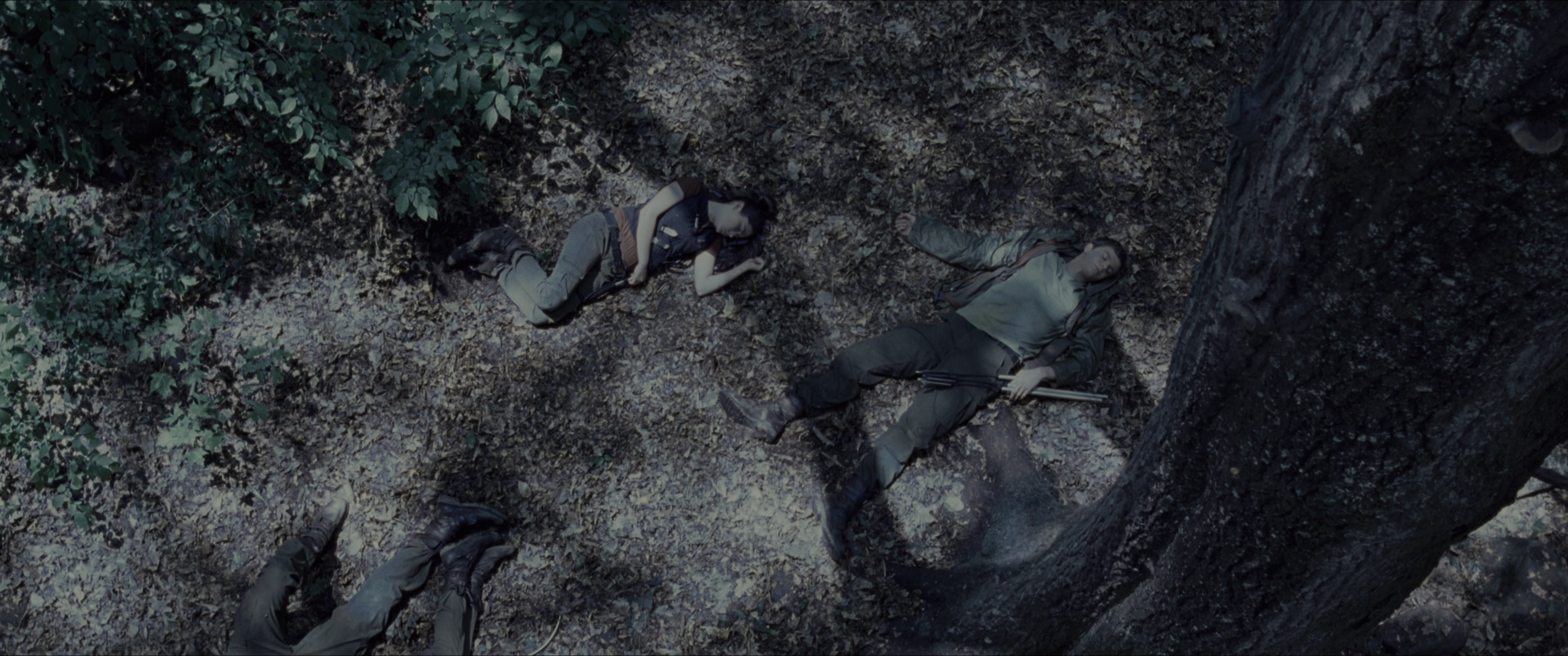 The Hunger Games (2012), wide, 2.39:1 — film still