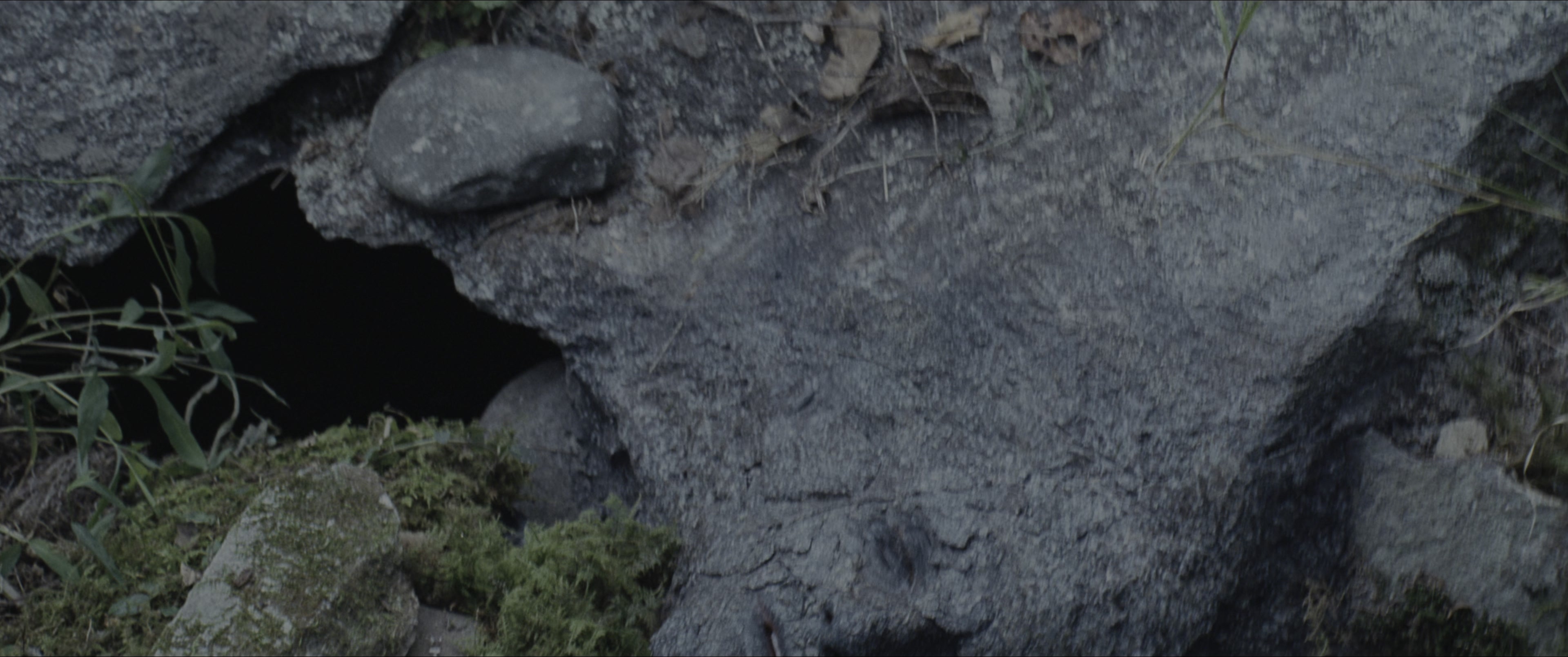 The Hunger Games (2012), wide, 2.39:1 — film still