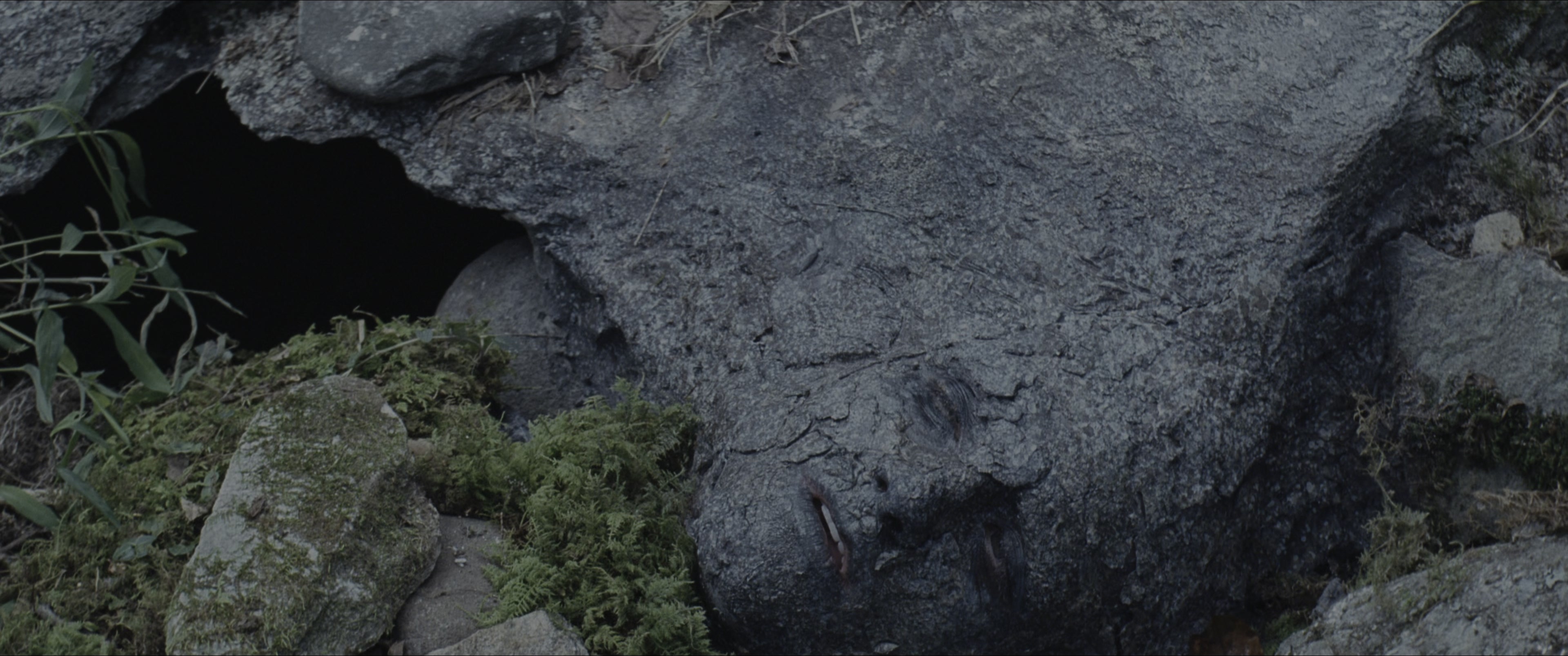 The Hunger Games (2012), wide, 2.39:1 — film still