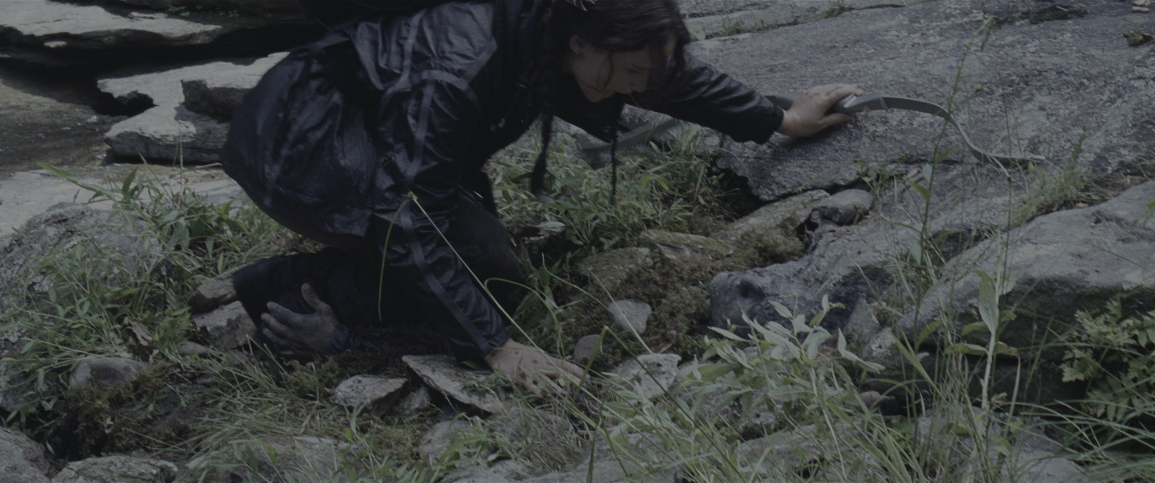 The Hunger Games (2012), wide, 2.39:1 — film still