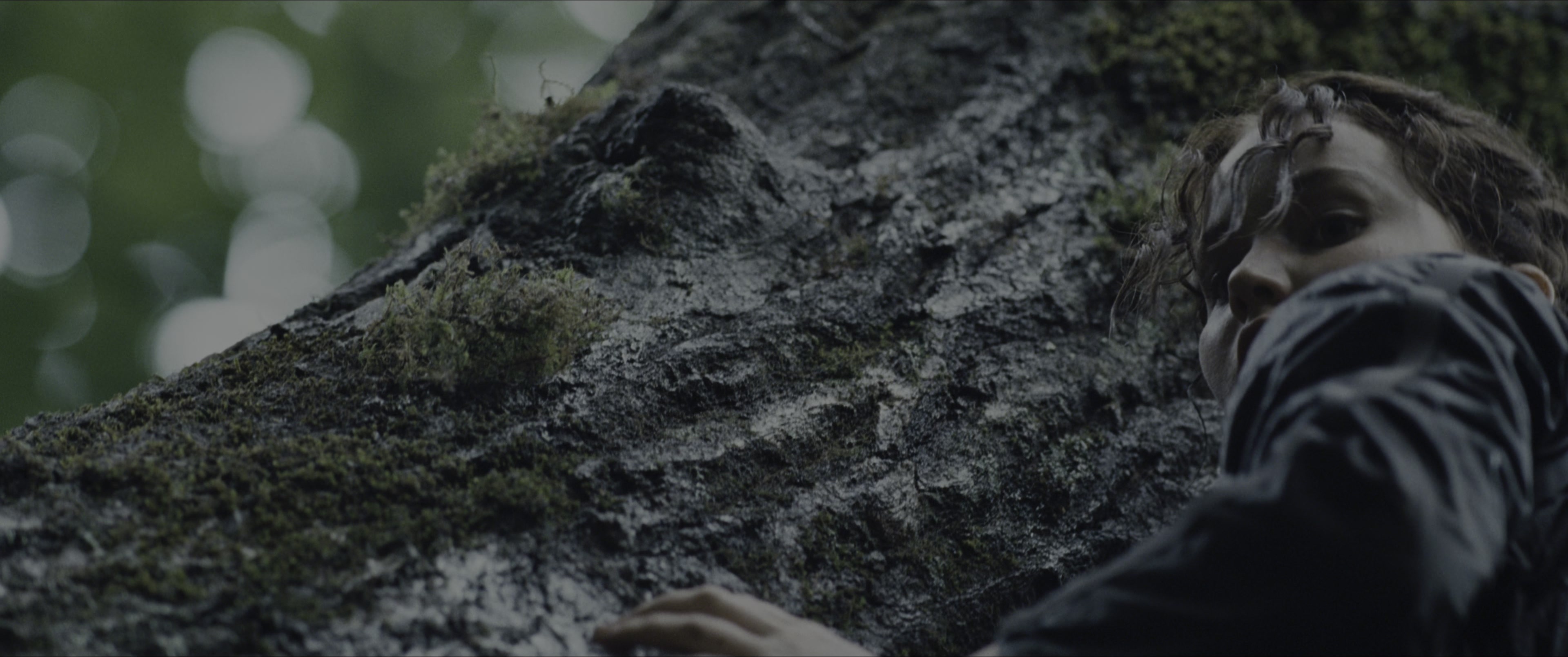 The Hunger Games (2012), wide, 2.39:1 — film still