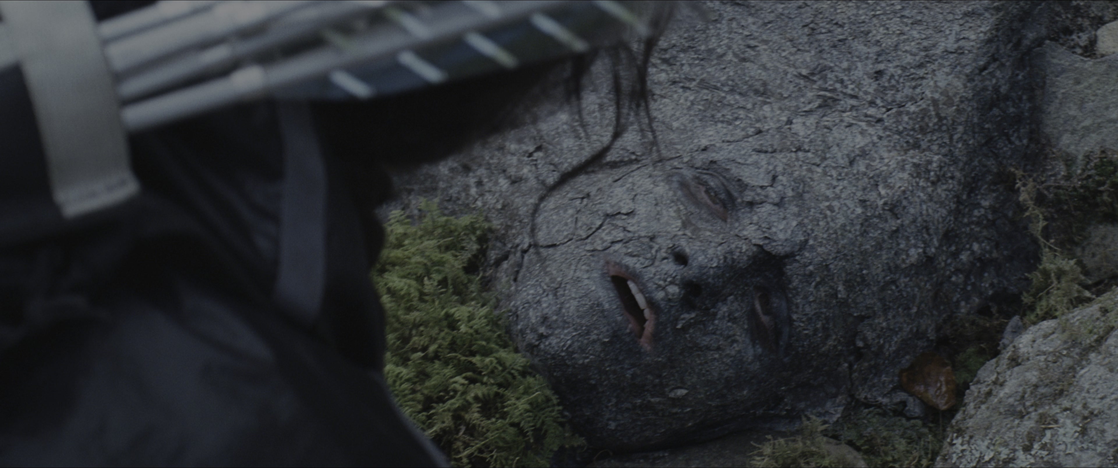 The Hunger Games (2012), wide, 2.39:1 — film still
