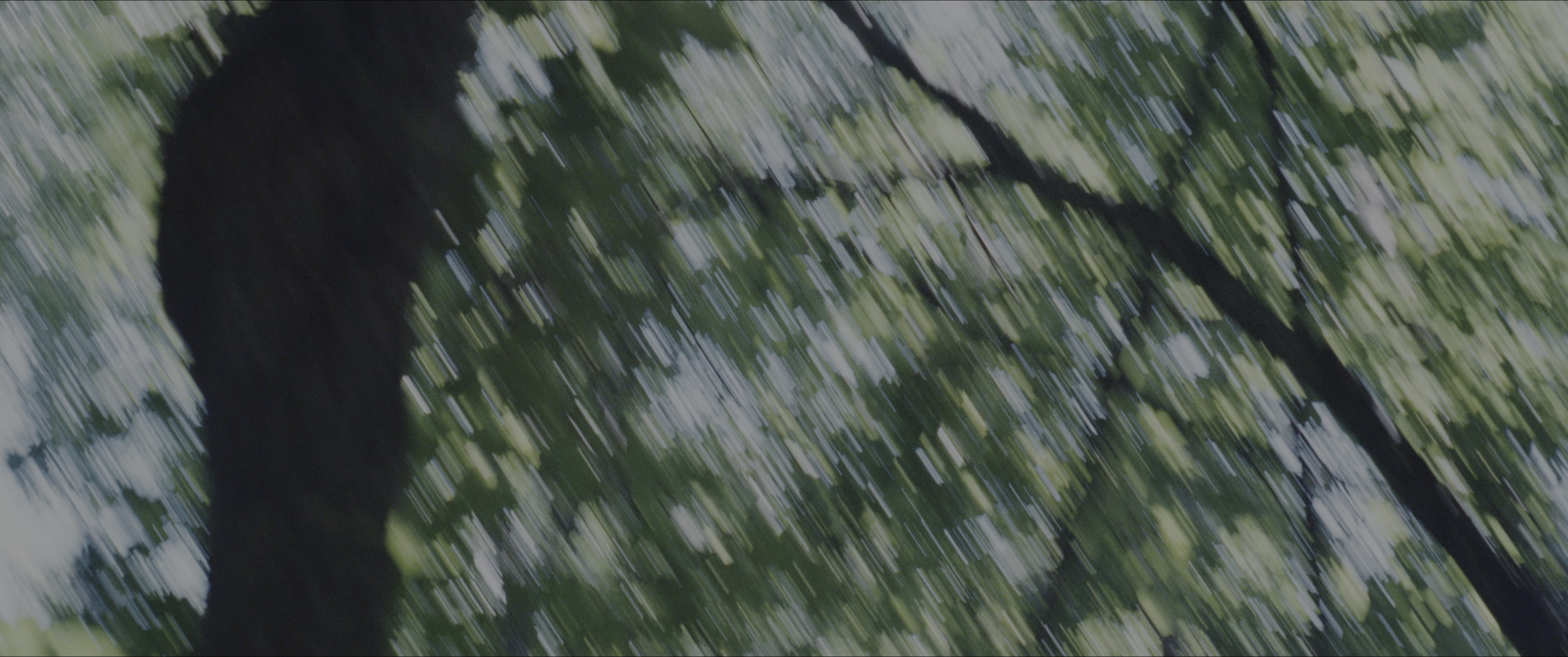 The Hunger Games (2012), wide, 2.39:1 — film still