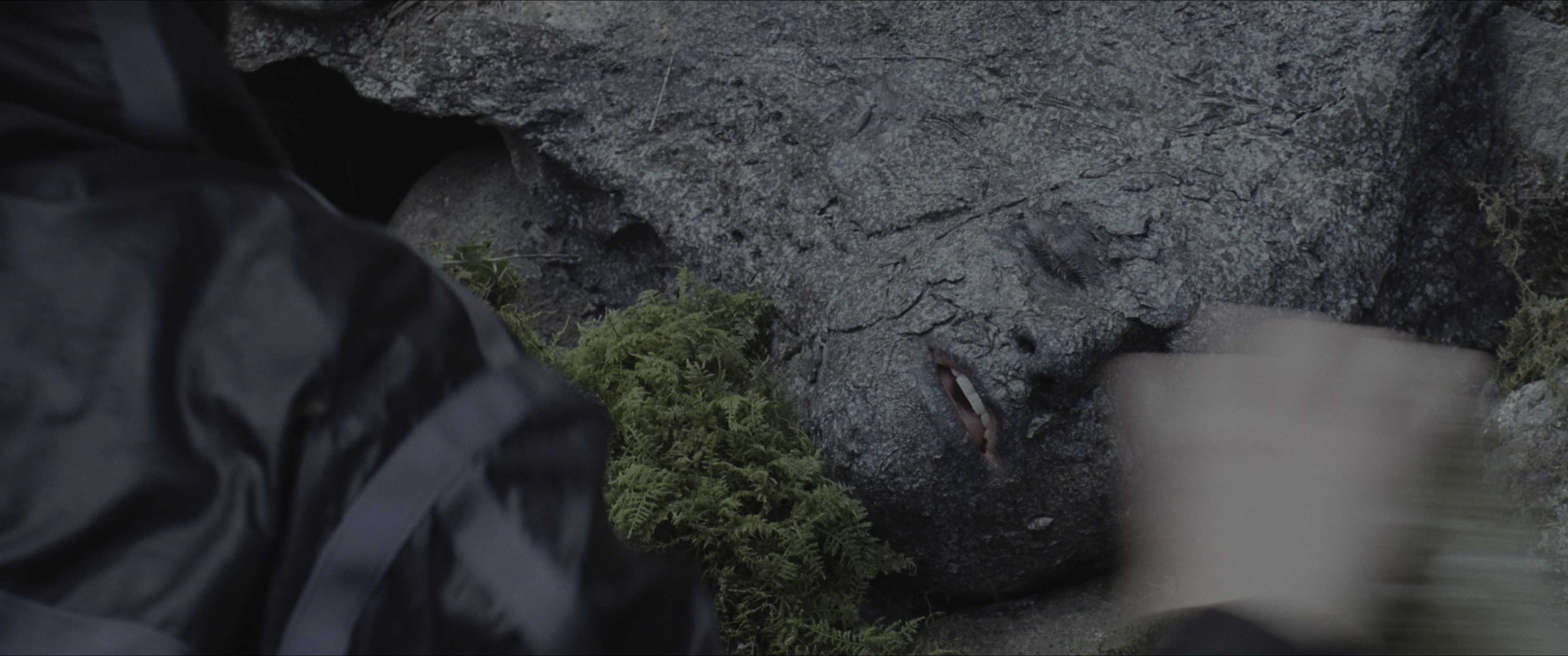 The Hunger Games (2012), wide, 2.39:1 — film still