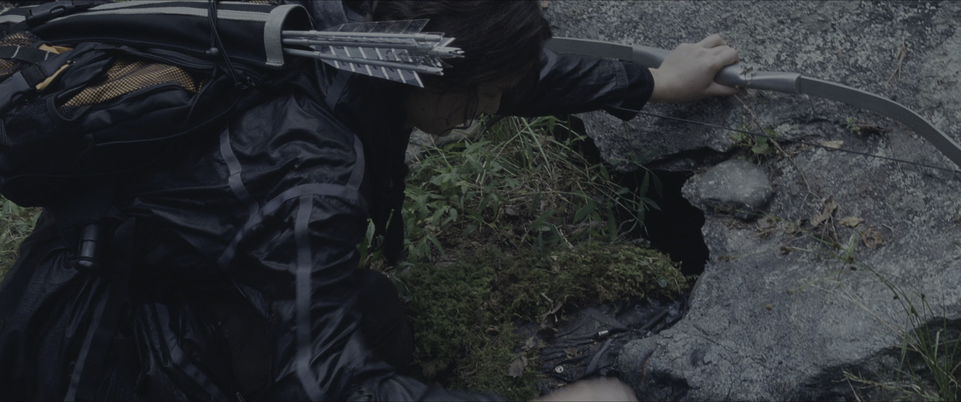 The Hunger Games (2012), wide, 2.39:1 — film still