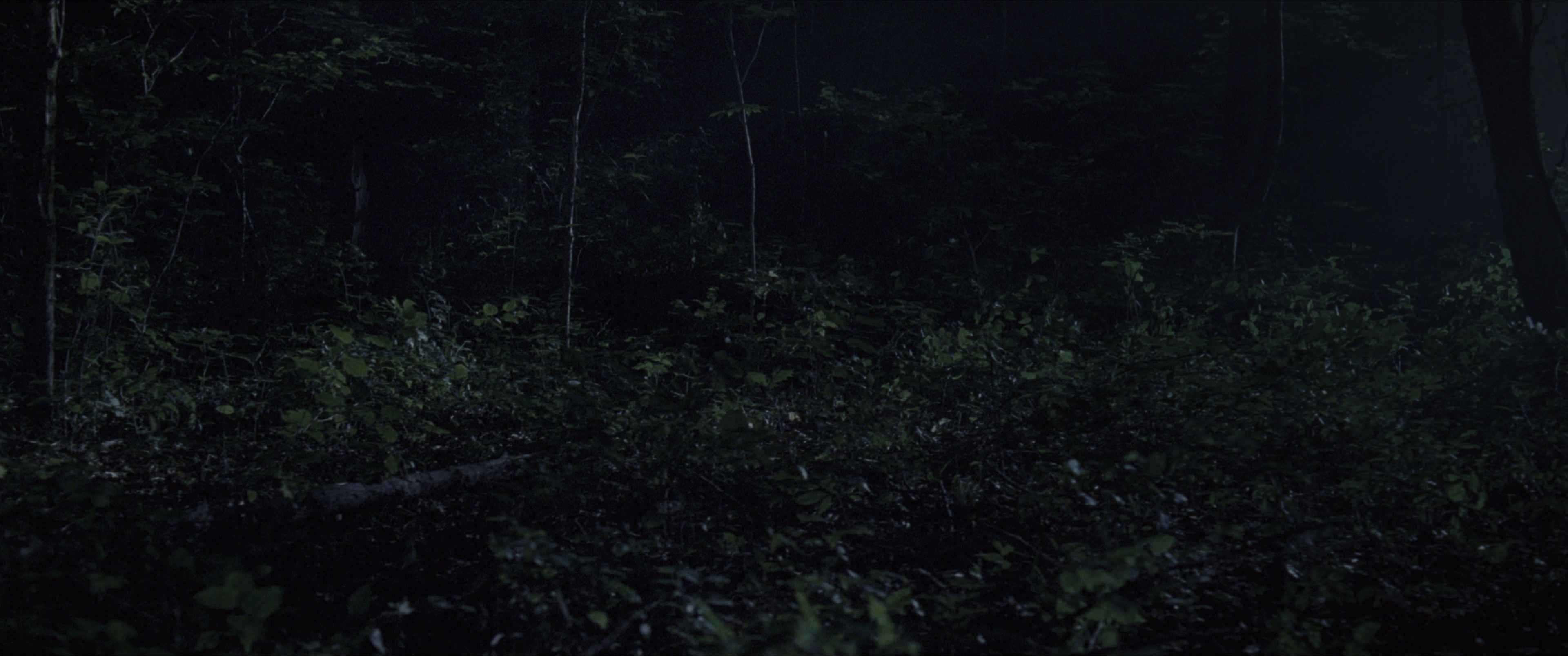 The Hunger Games (2012), wide, 2.39:1 — film still