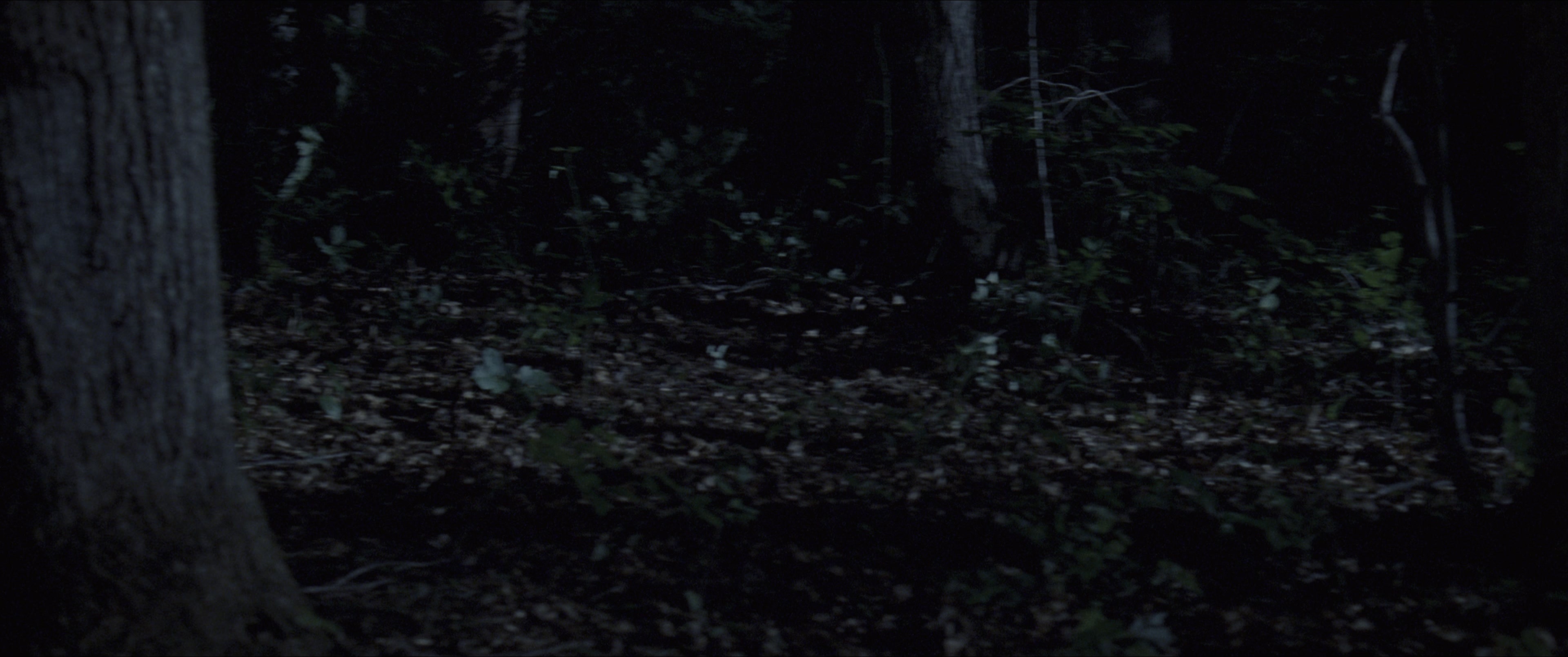 The Hunger Games (2012), wide, 2.39:1 — film still