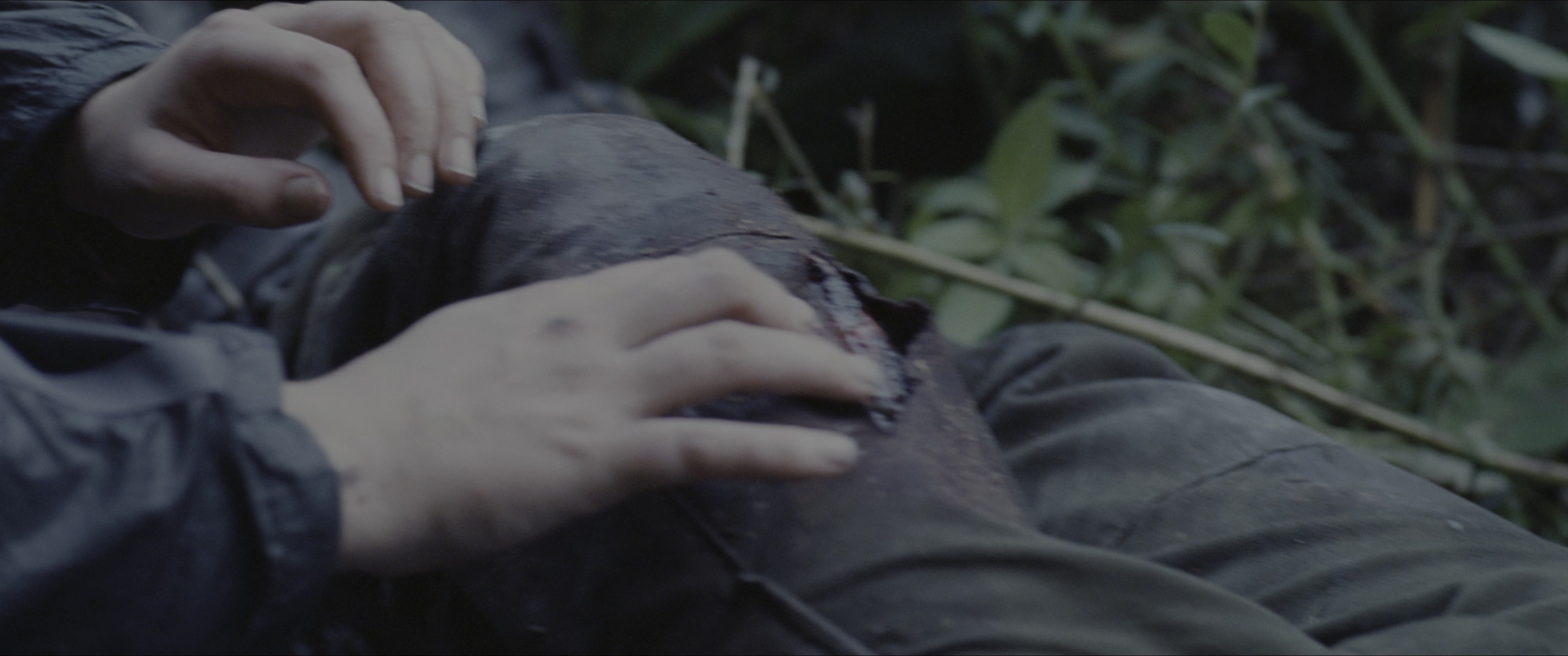 The Hunger Games (2012), wide, 2.39:1 — film still