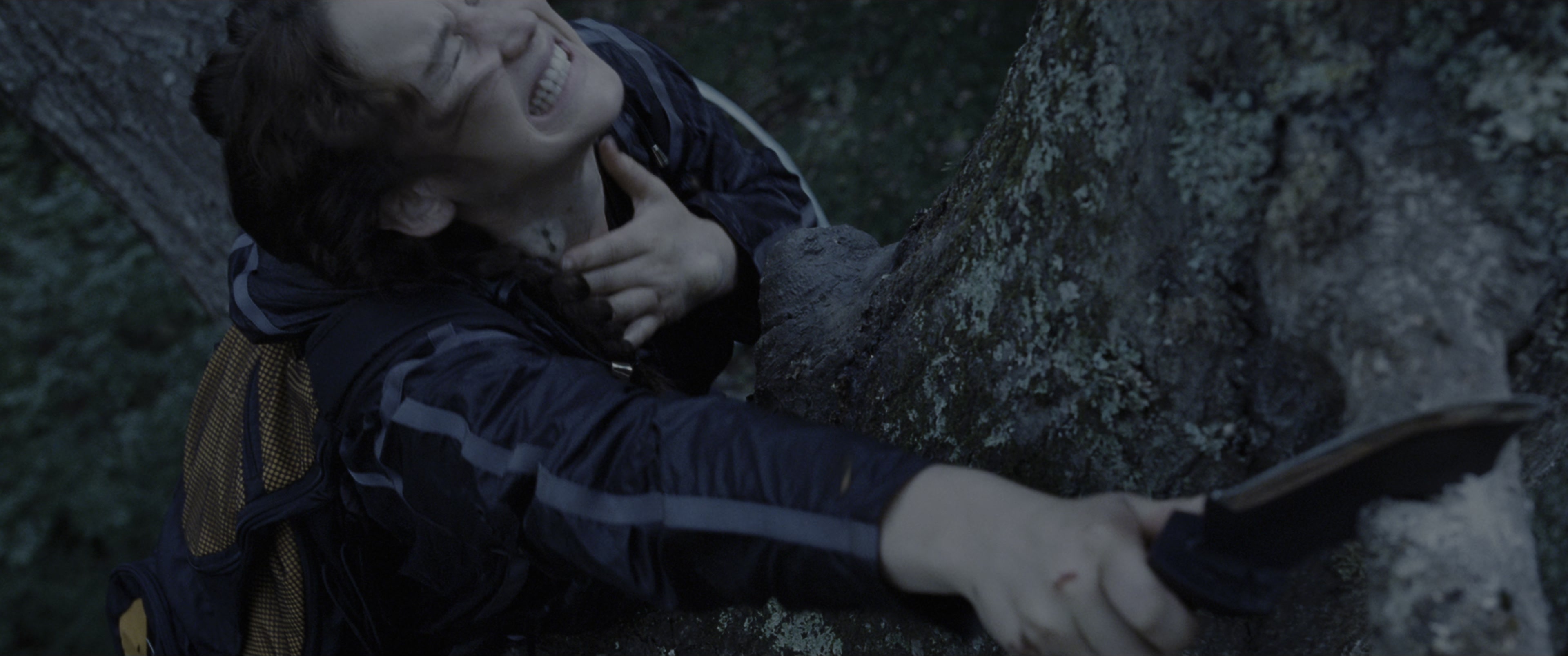The Hunger Games (2012), wide, 2.39:1 — film still
