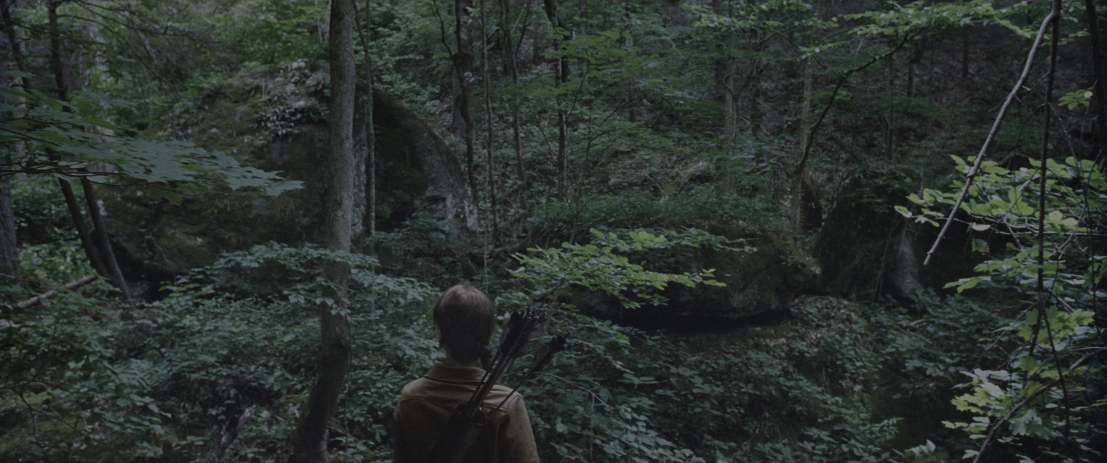 The Hunger Games (2012), wide, 2.39:1 — film still