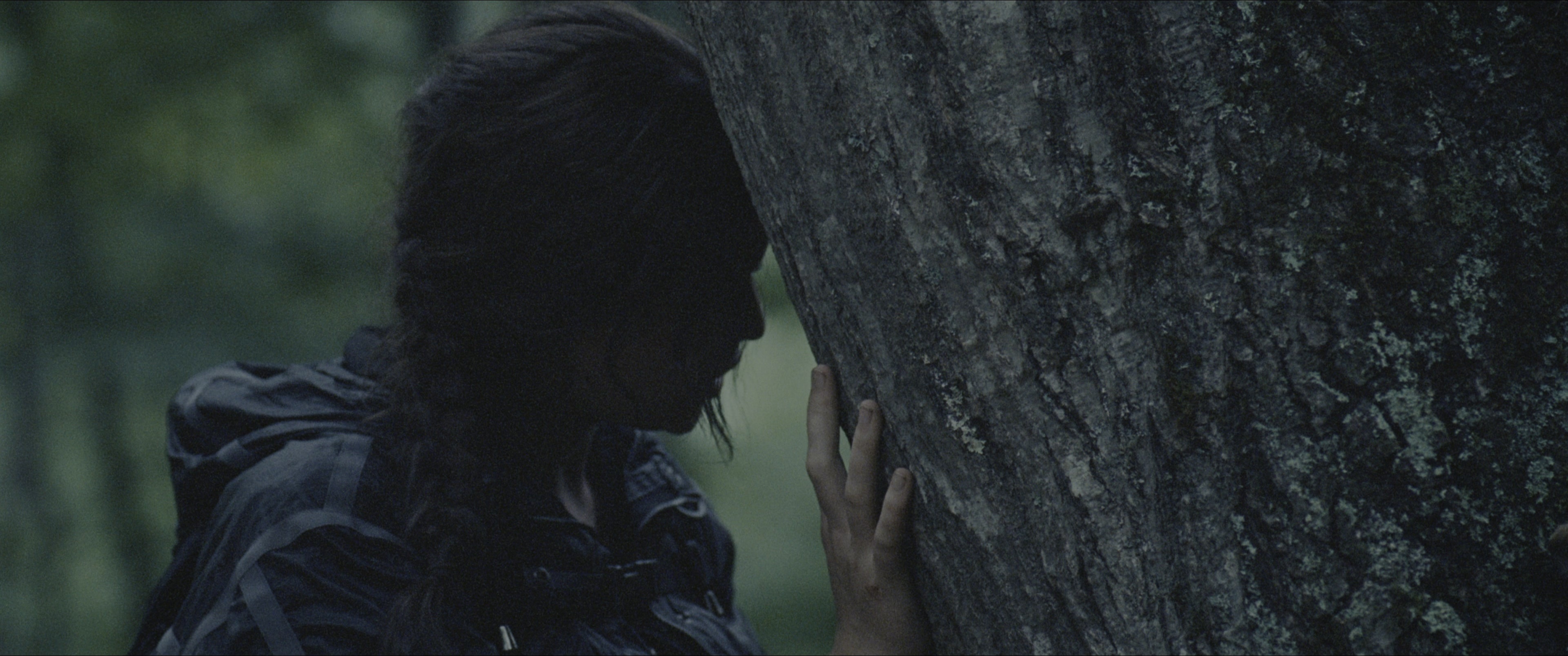 The Hunger Games (2012), wide, 2.39:1 — film still